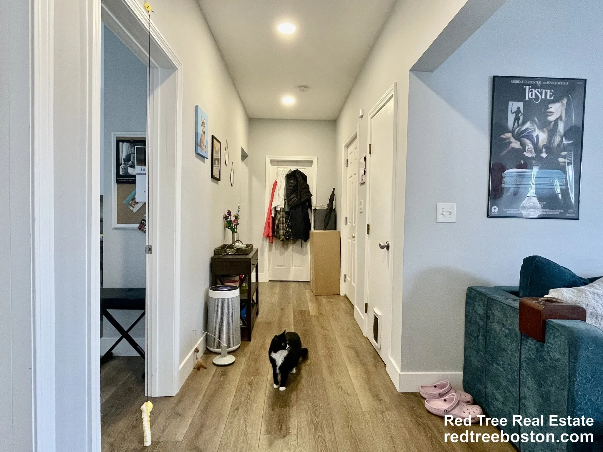 11 Pearl Ter, East Somerville