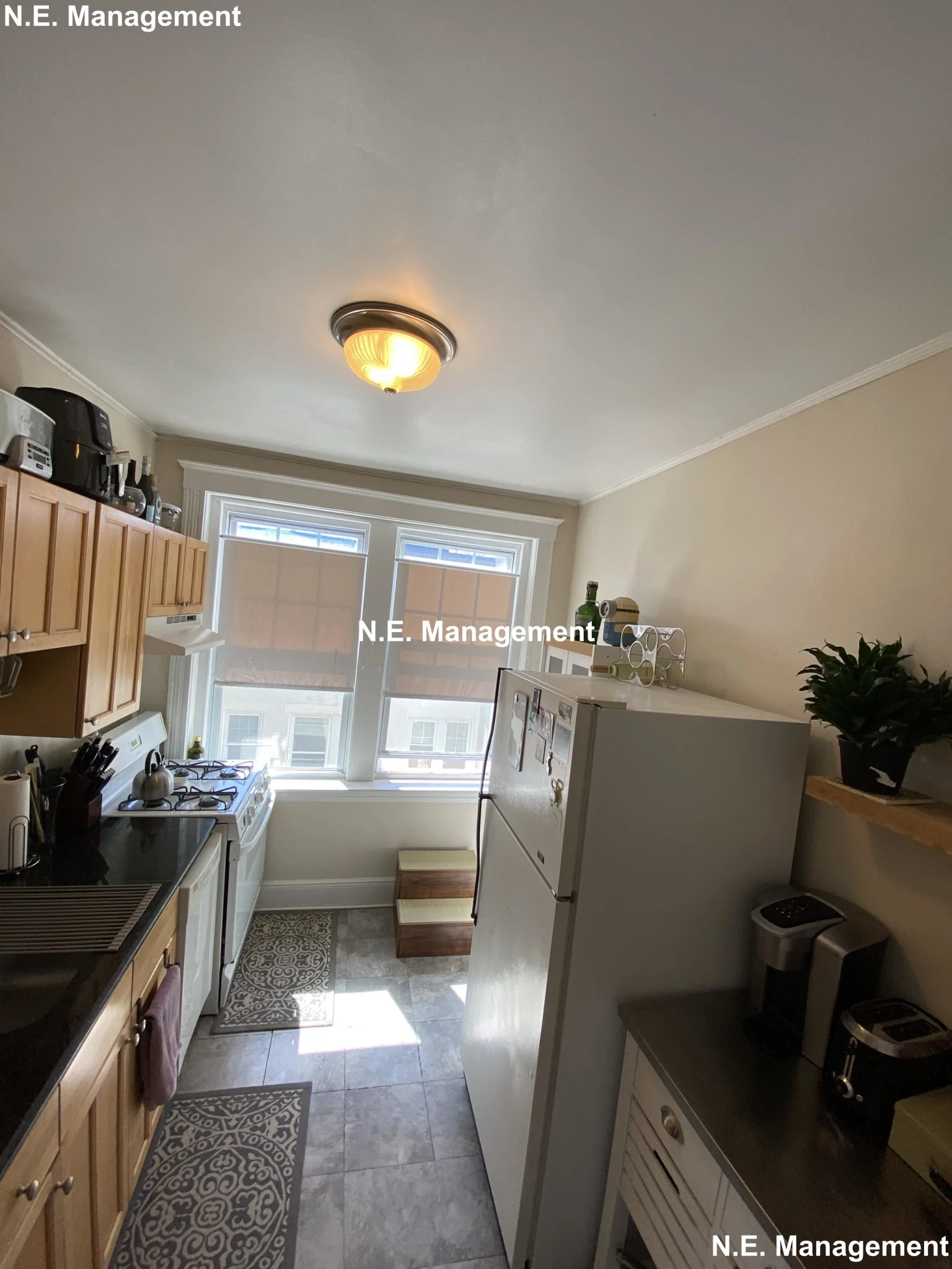 339 South Huntington Ave, Jamaica Plain