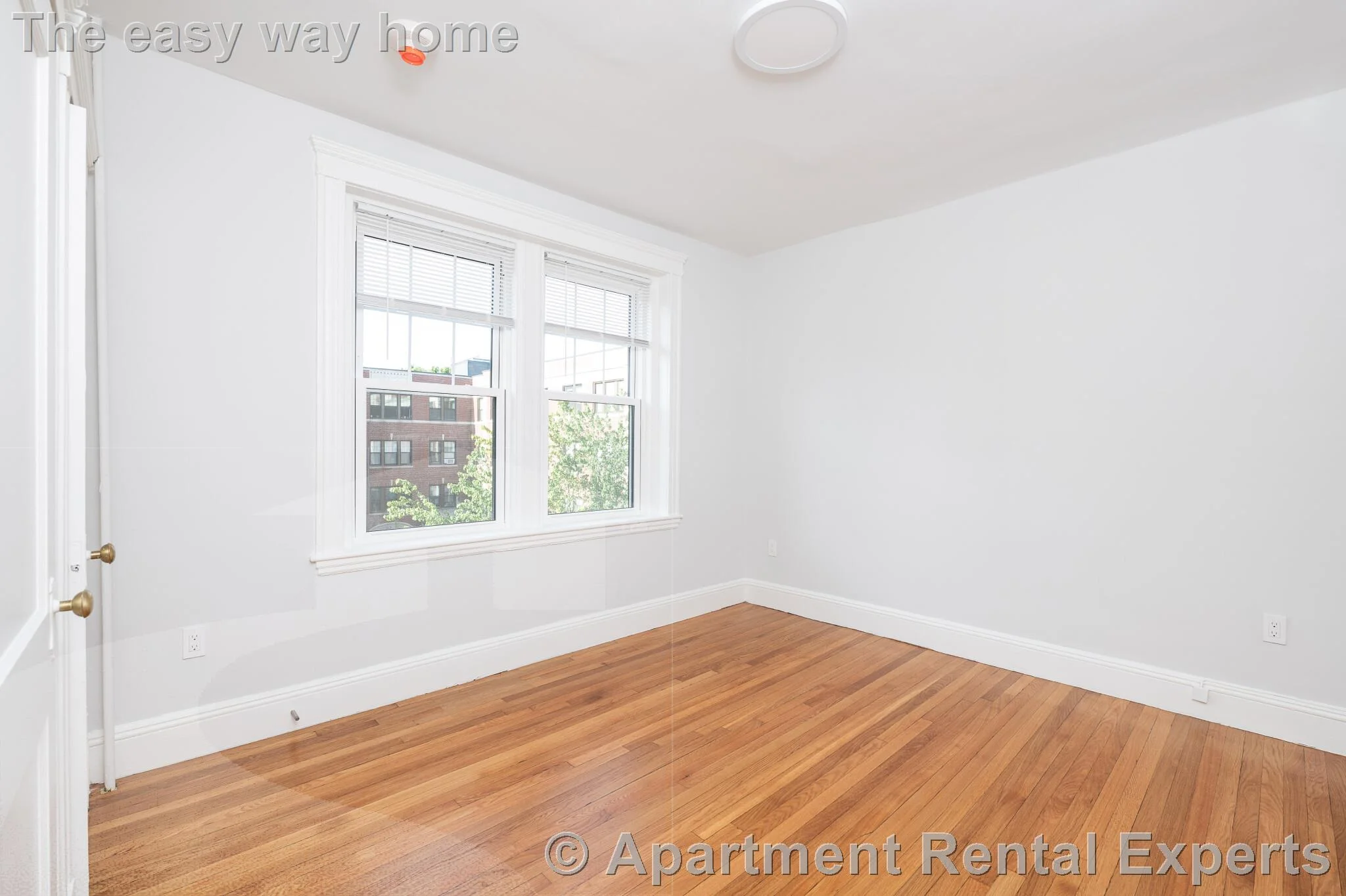 19 Forest St, Porter Square