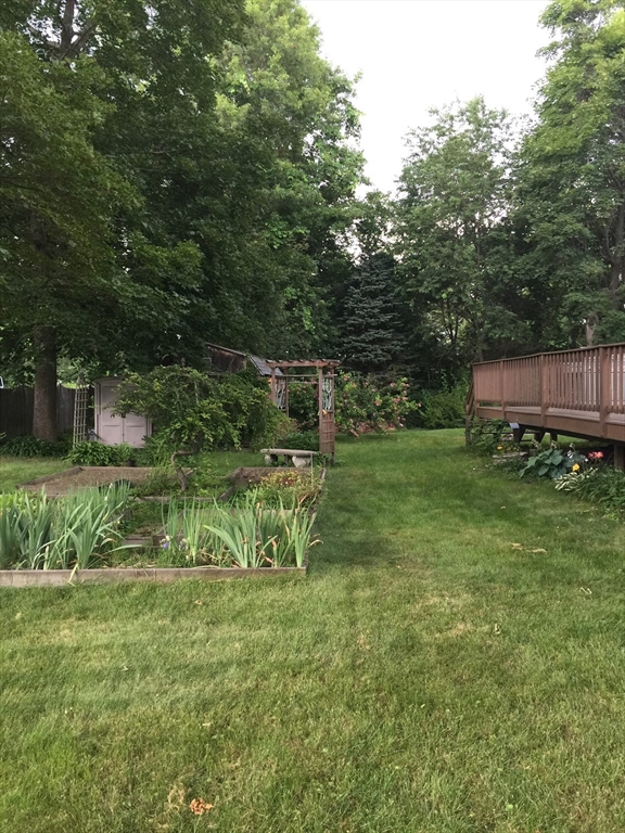 31 Nelson St, North Grafton