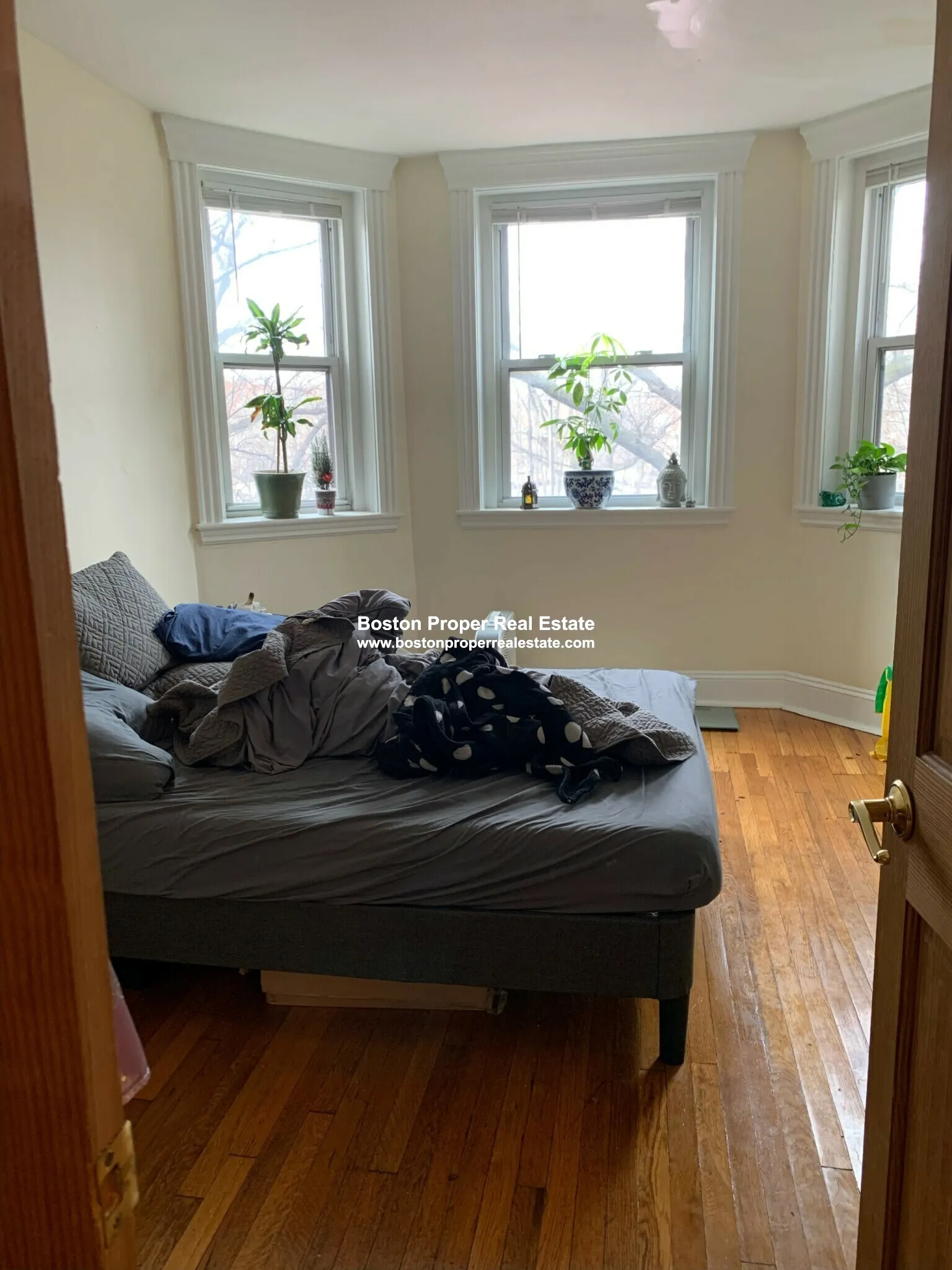 352 Riverway, Mission Hill