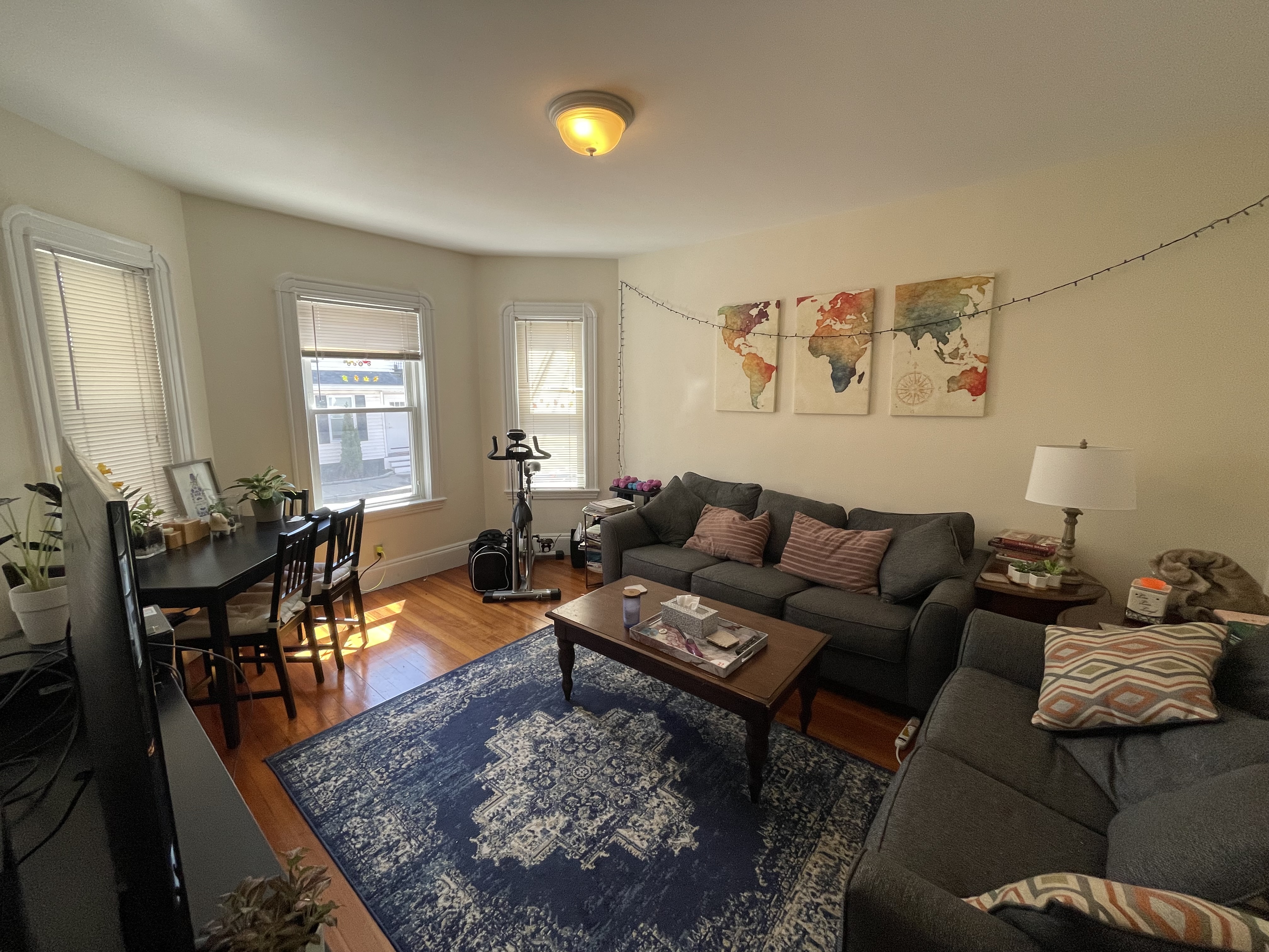 10 Chandler St, Davis Square