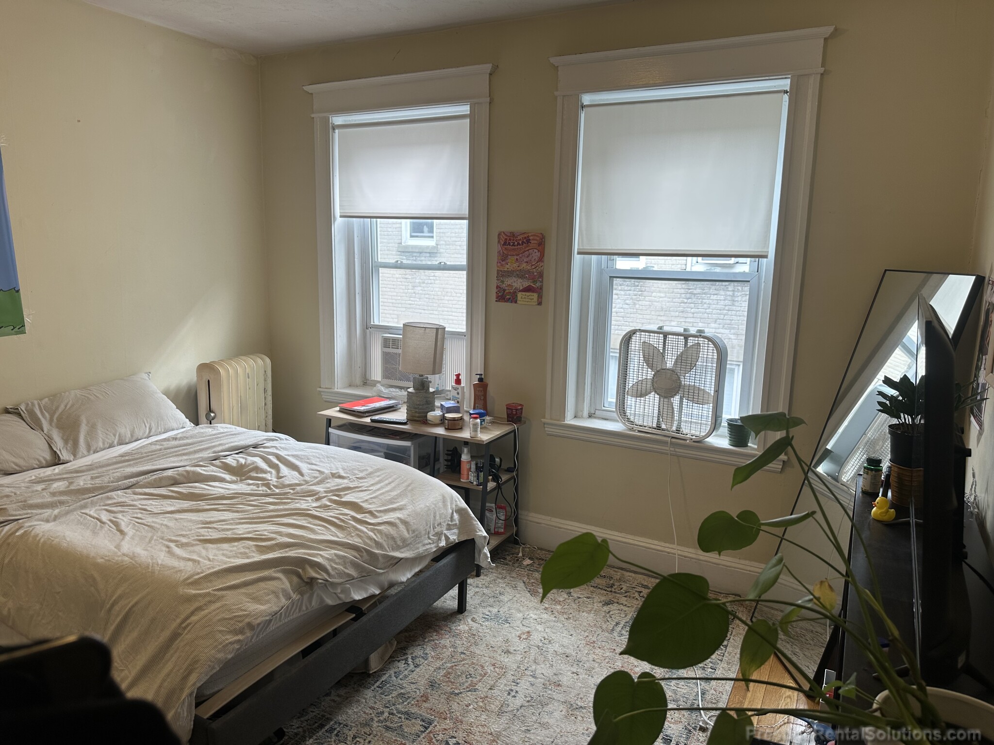 221 Kelton St, Brighton