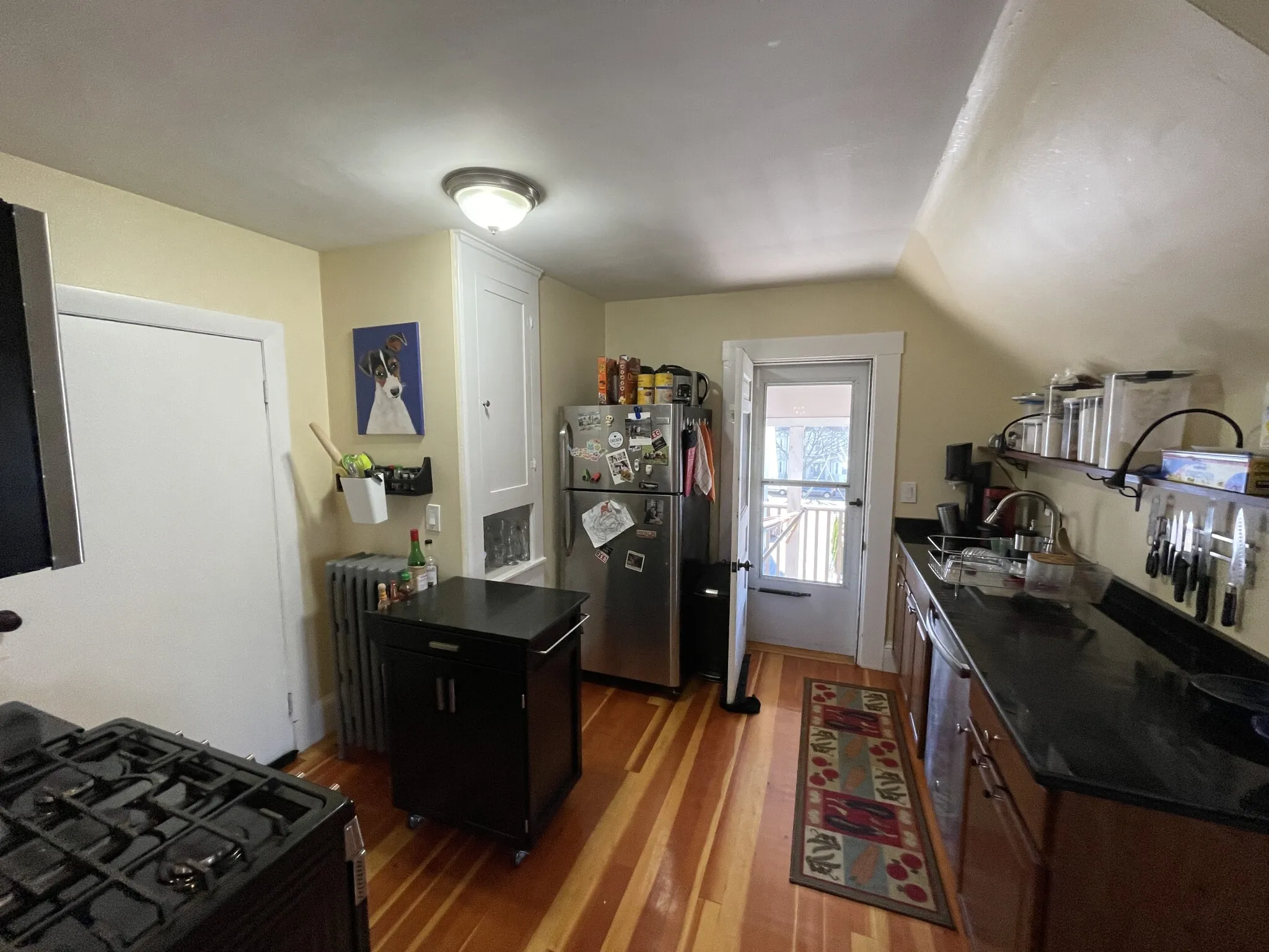 21 Chandler St, Tufts