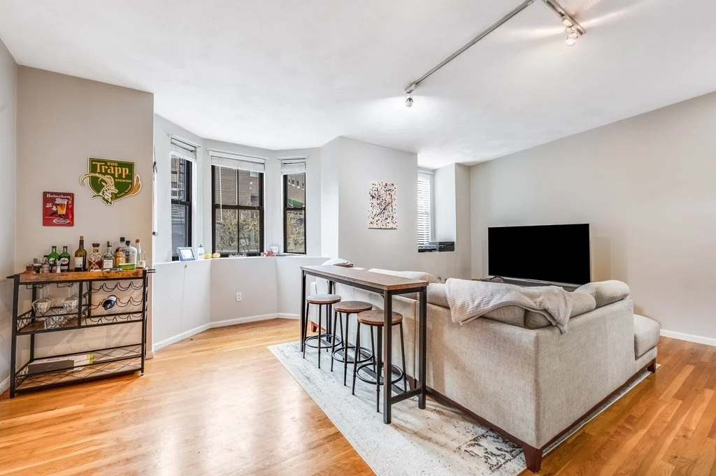 102 E Brookline, South End