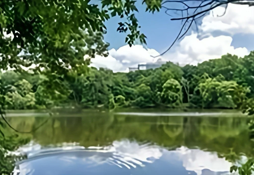 33 Pond Ave, Brookline Village