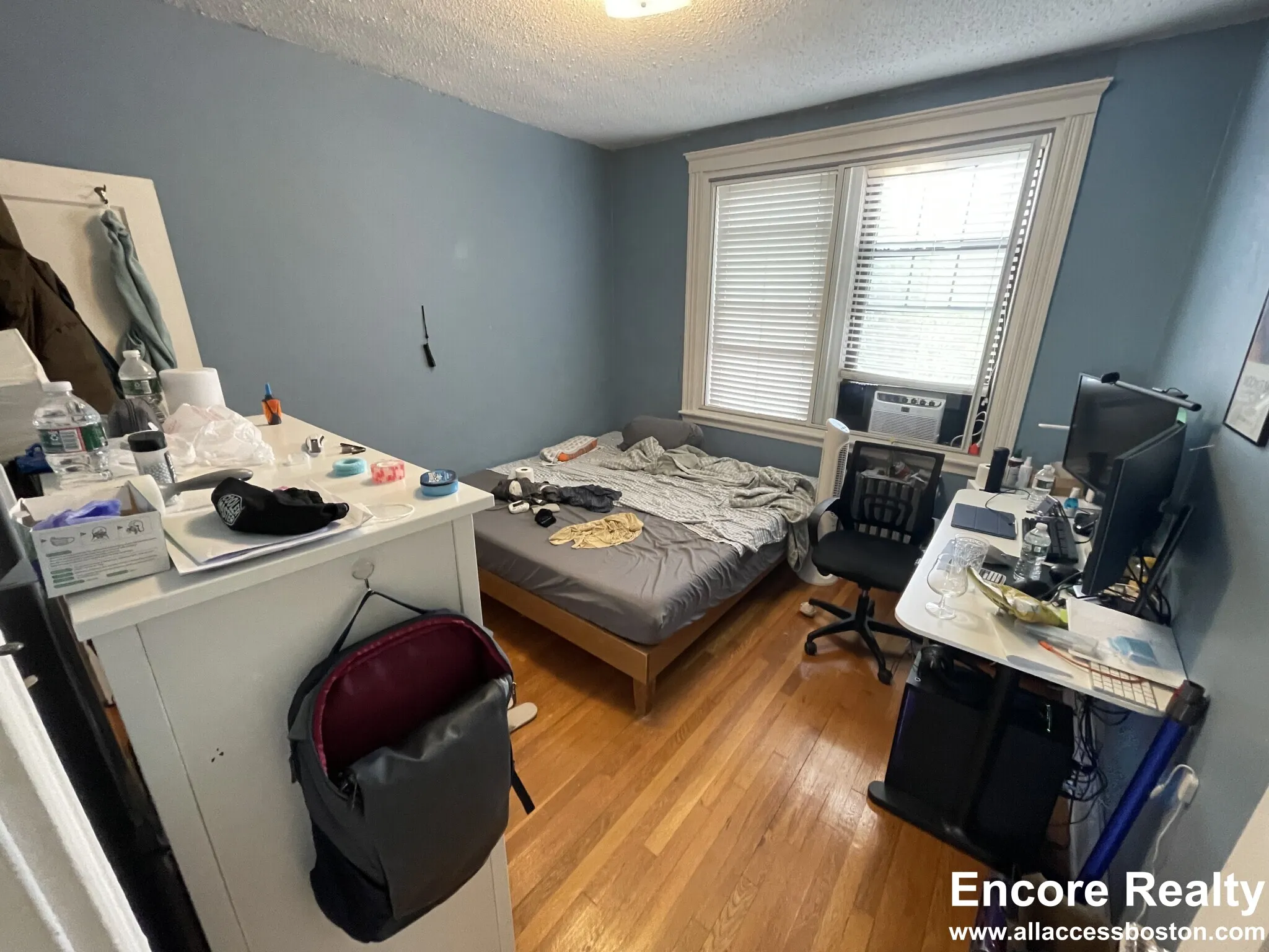 185 Chestnut Hill Ave, Brighton