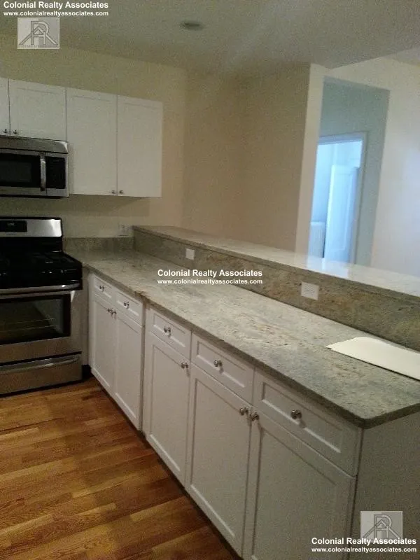 60 Egmont St, North Brookline