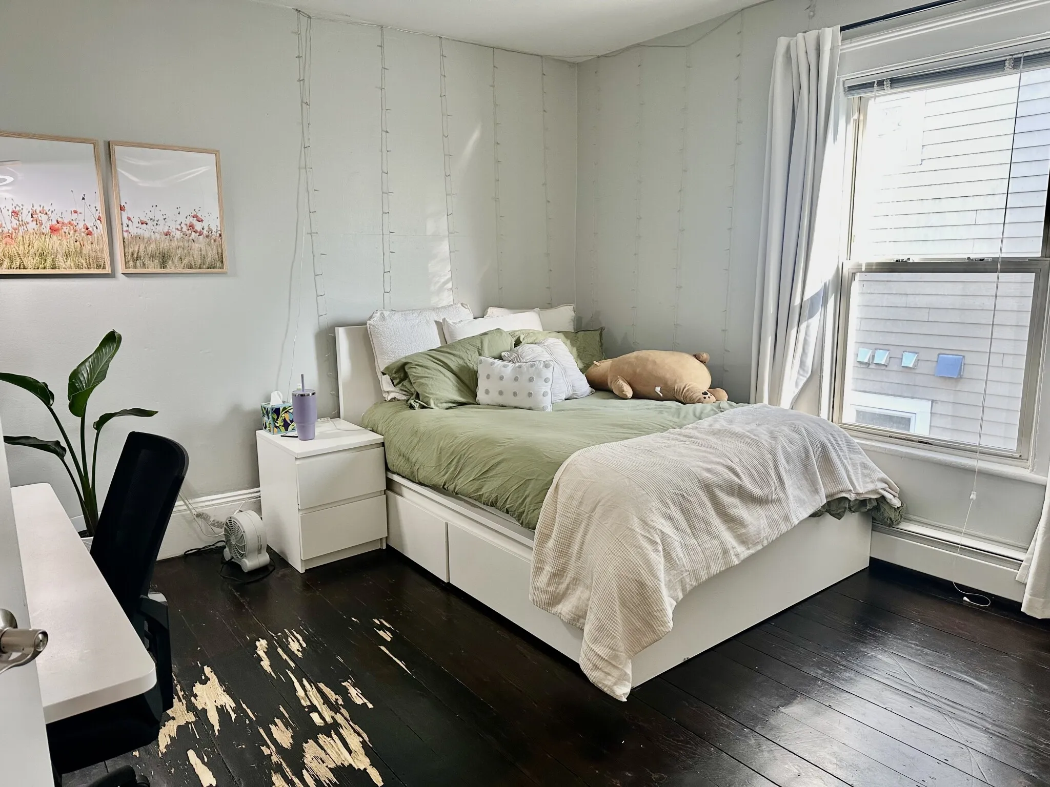 294 Windsor St, The Port