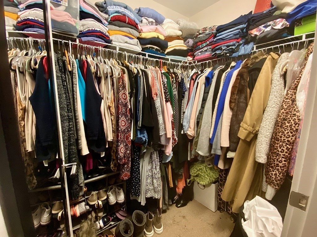 99 Chestnut Hill Ave, Brighton