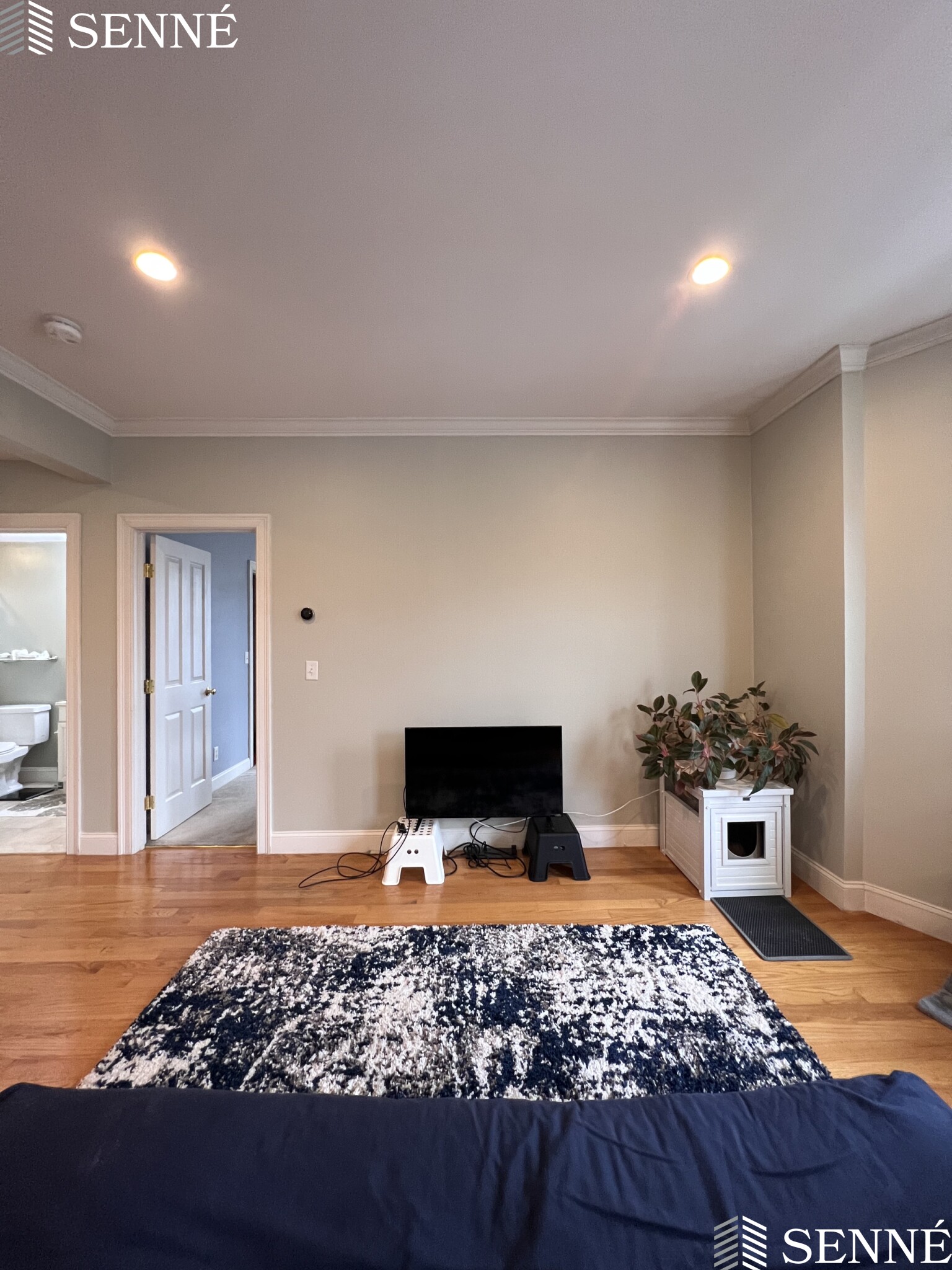 146 Clifton St, Malden