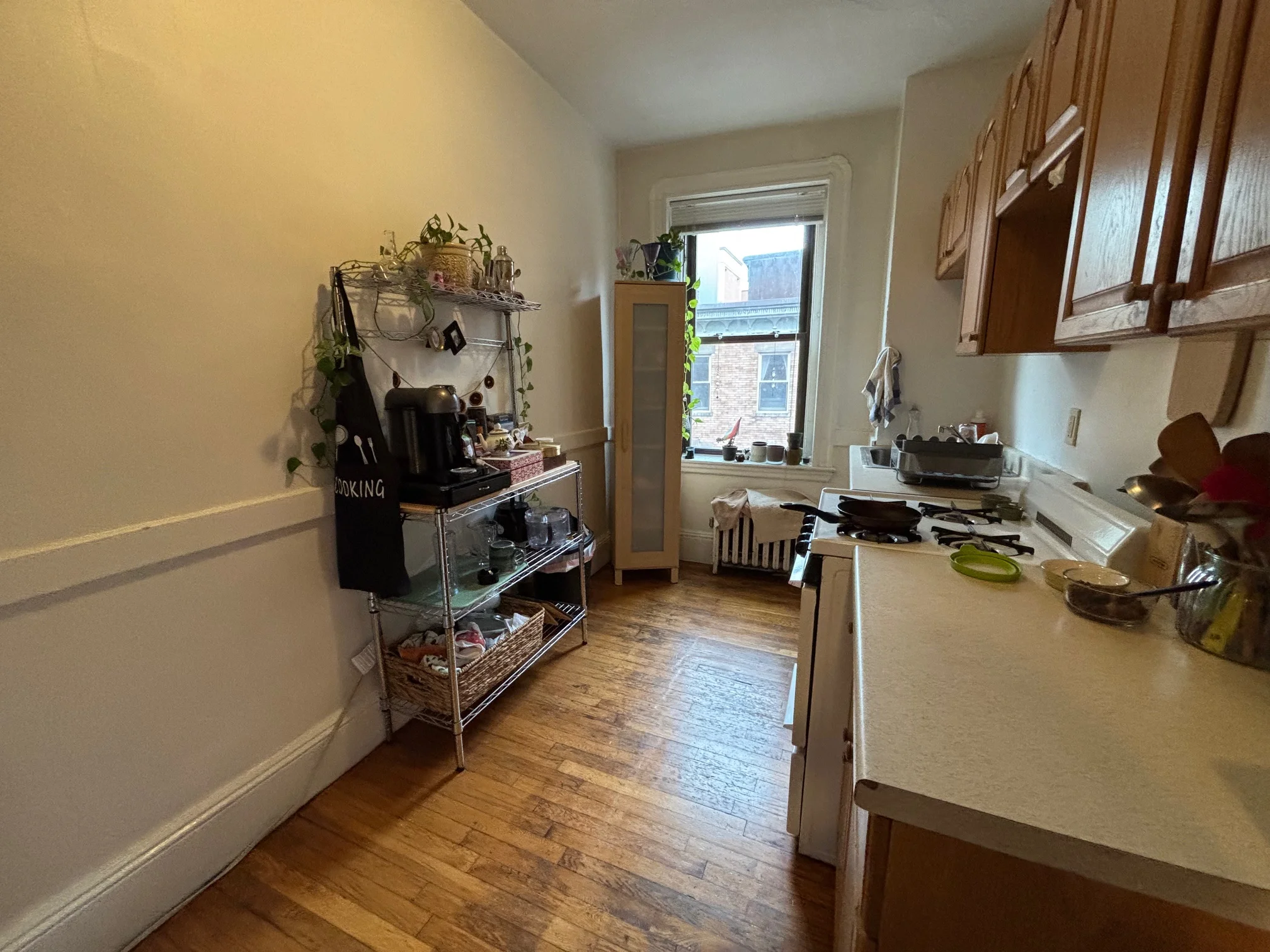 7 Grove St, Beacon Hill