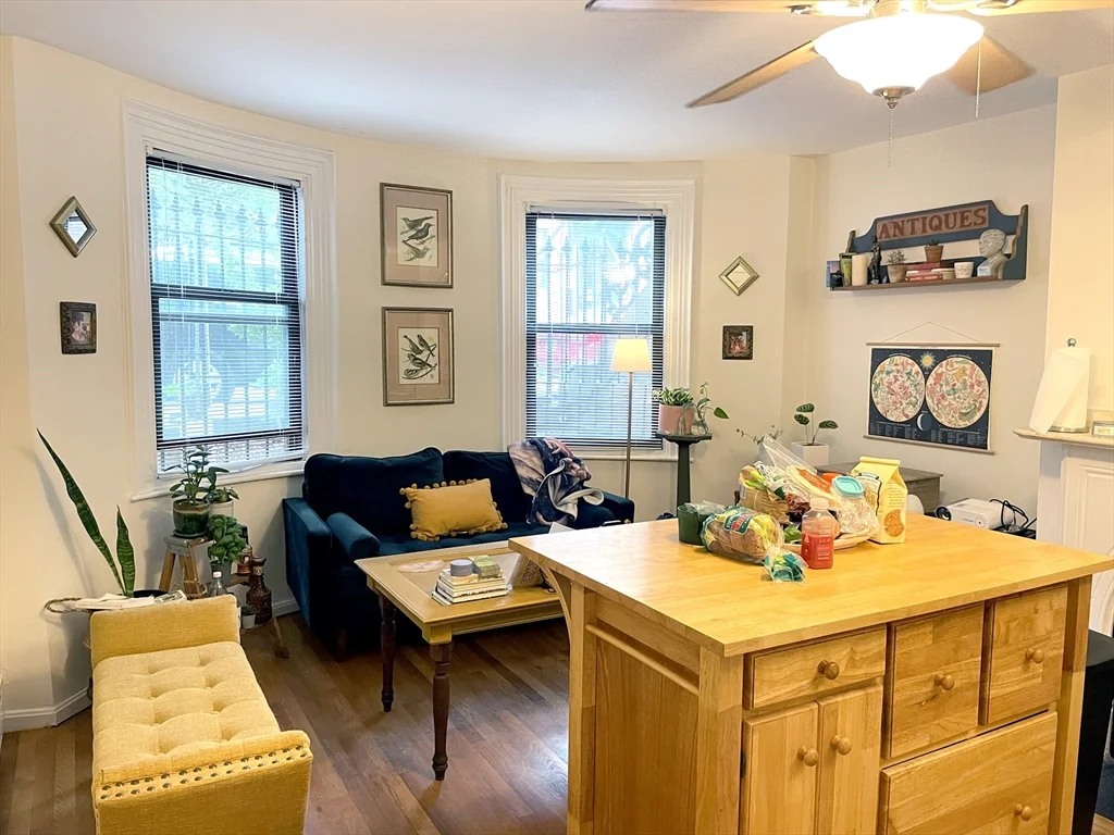 81 E Brookline St, South End