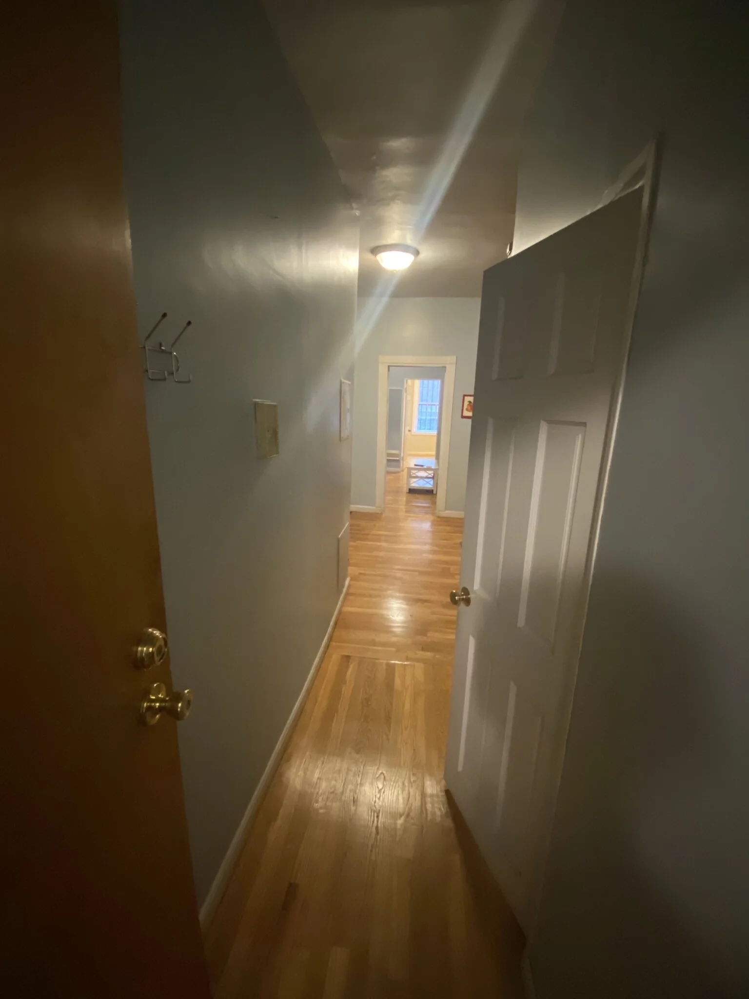 76 Phillips St, Beacon Hill