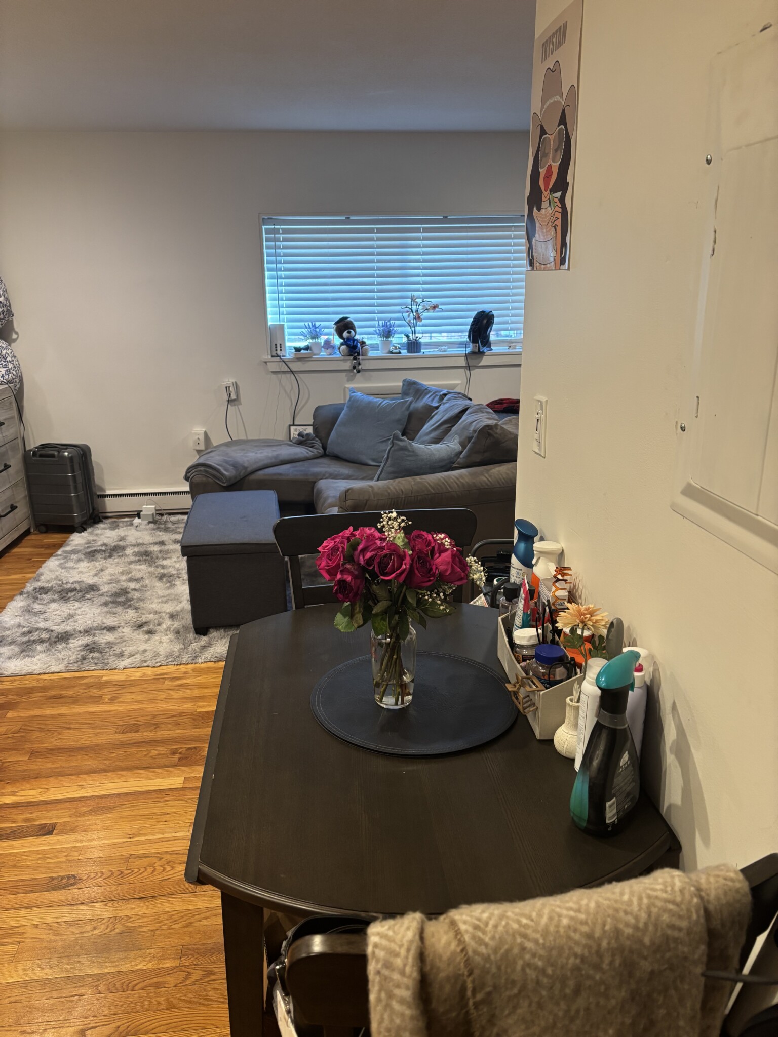 15 Euston Rd, Brighton