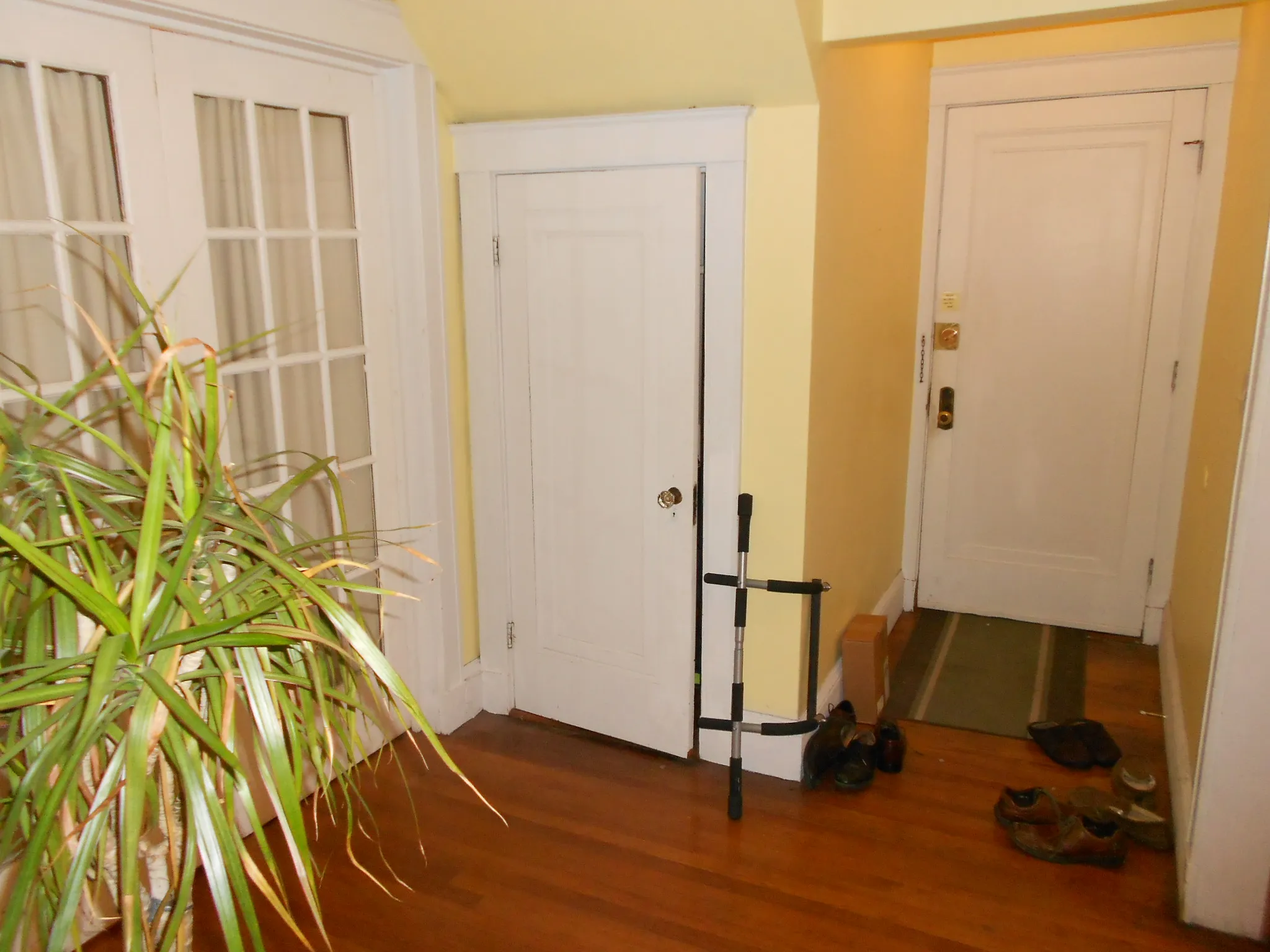 110 Winchester St, North Brookline