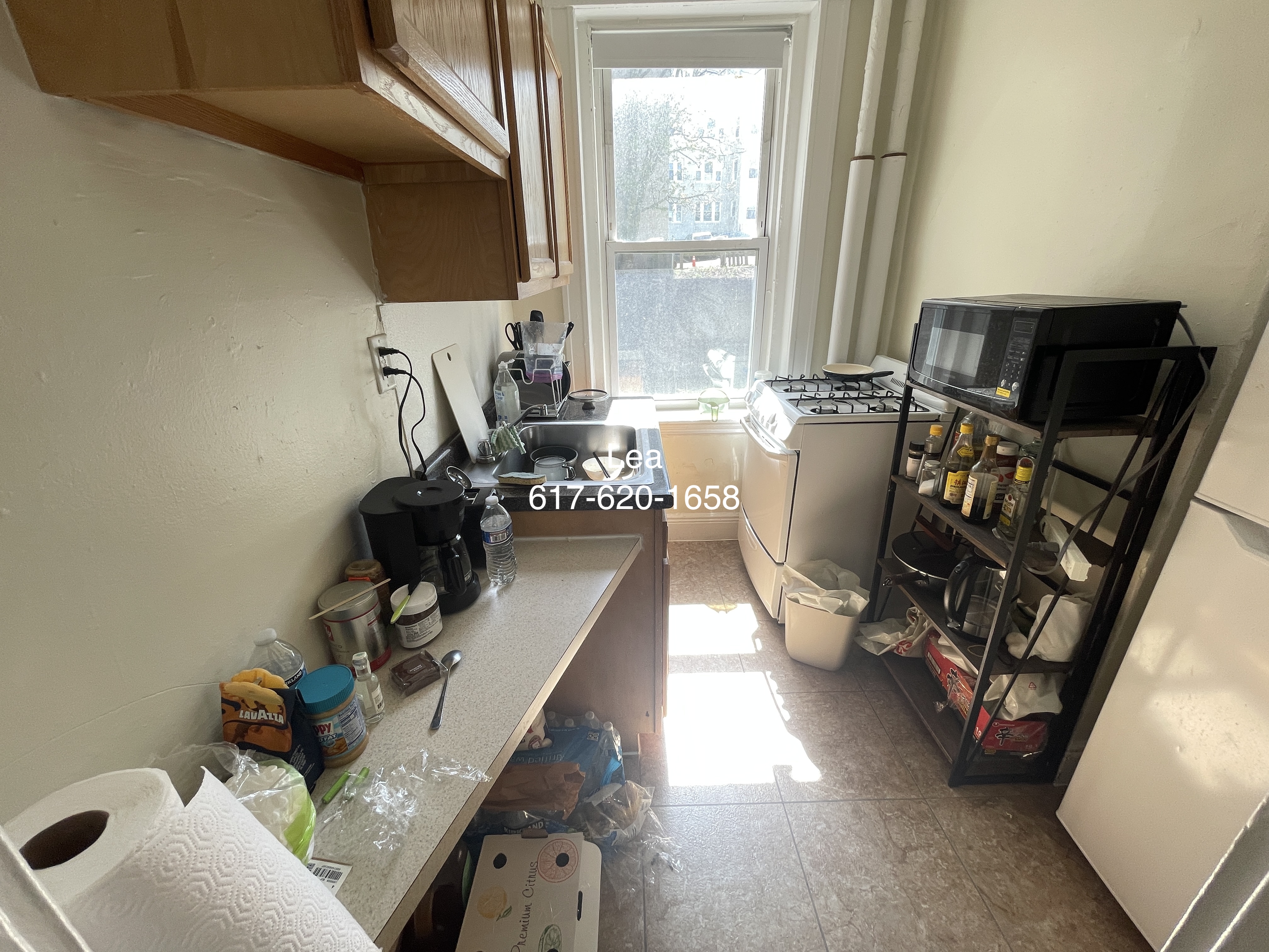 25 Walbridge St, Allston