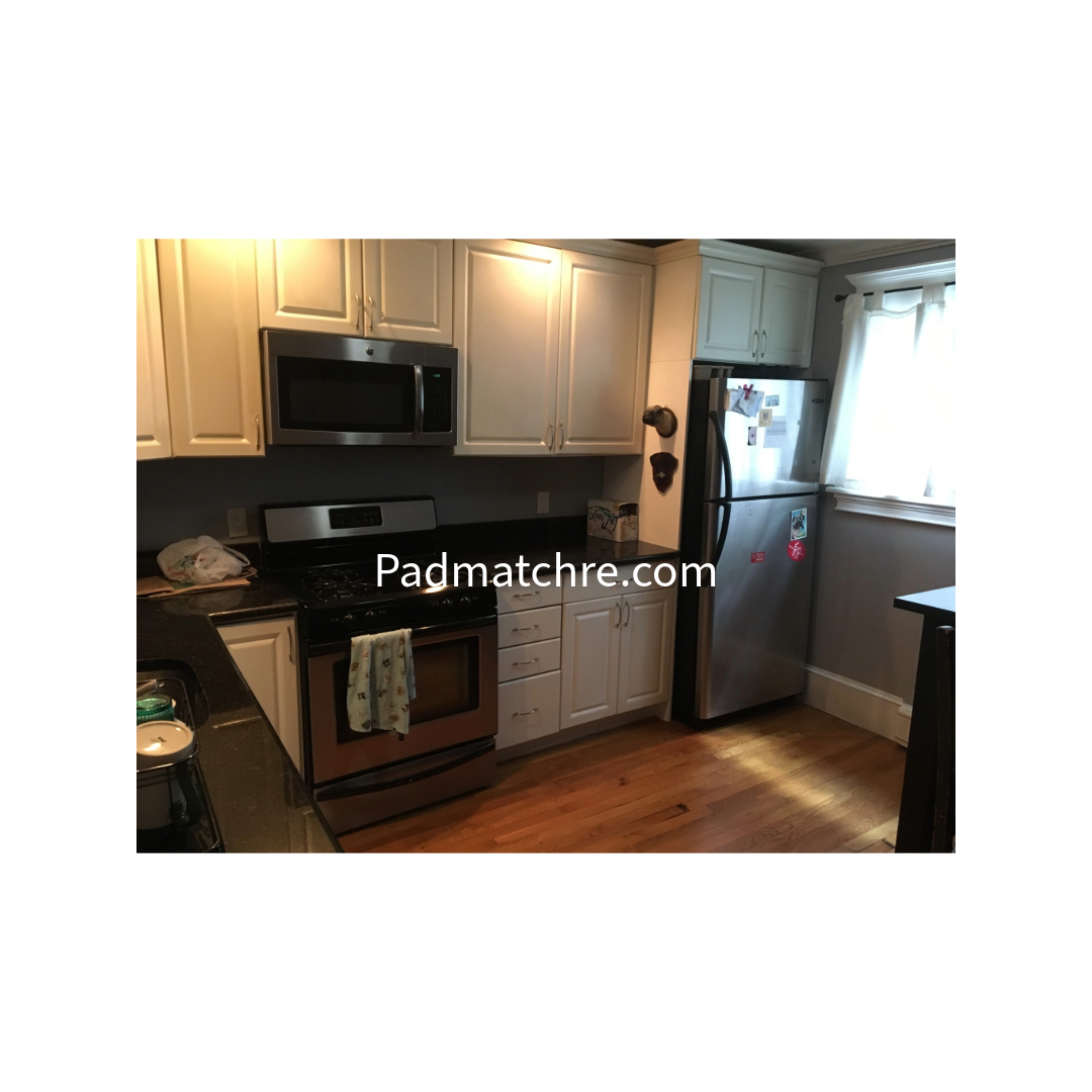 3 Grimes St, South Boston