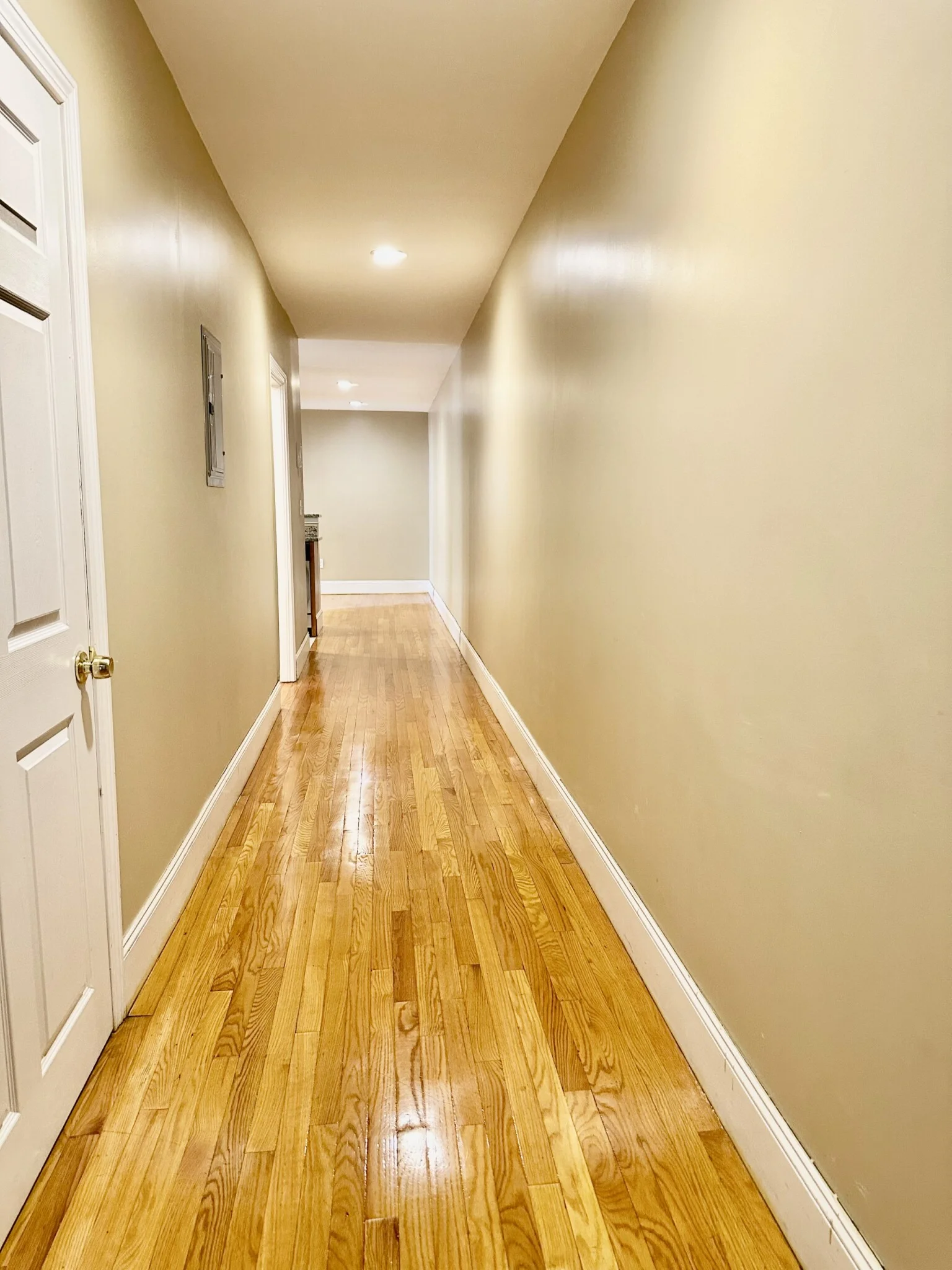 328 Saint Paul St, Brookline