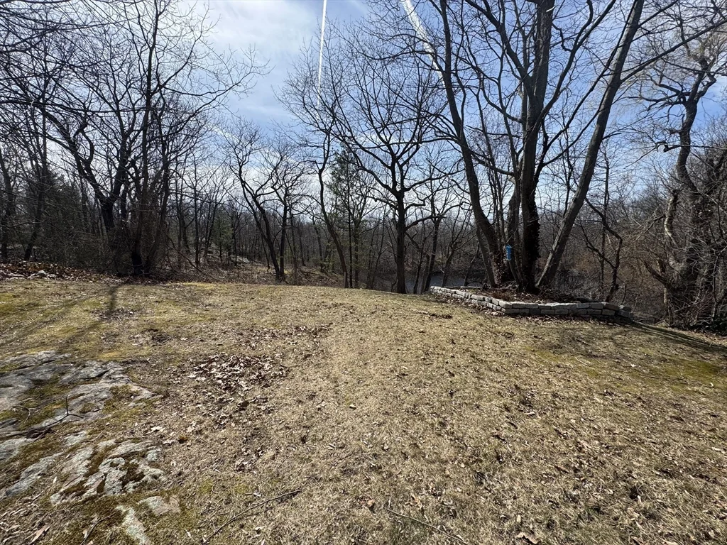 15 Curlew St, West Roxbury