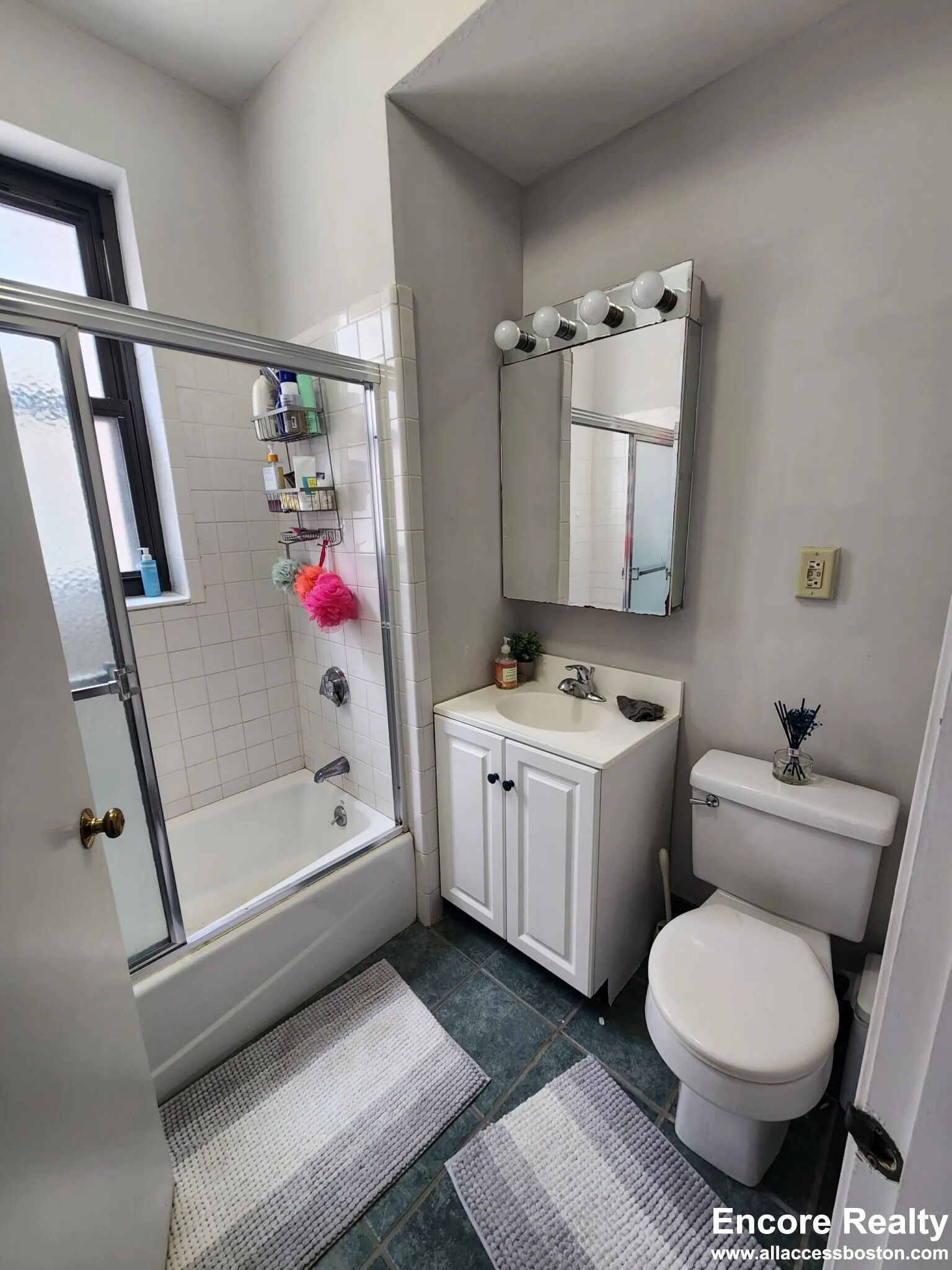 11 Stearns Rd, Coolidge Corner