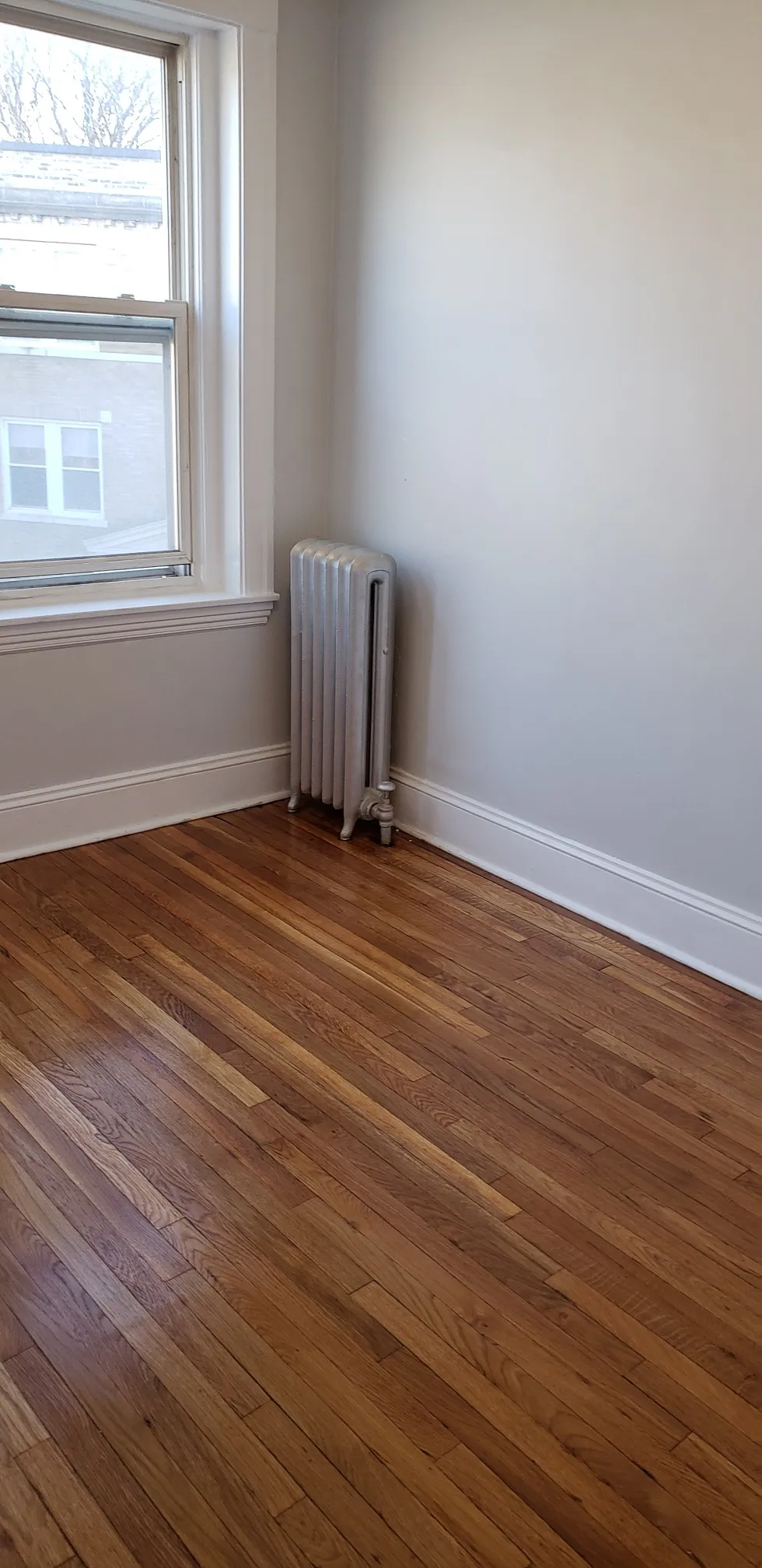 241 Freeman St, North Brookline