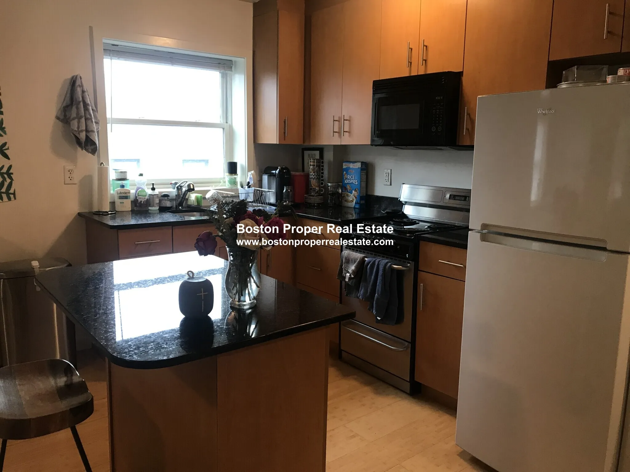 461 Park Dr, Fenway