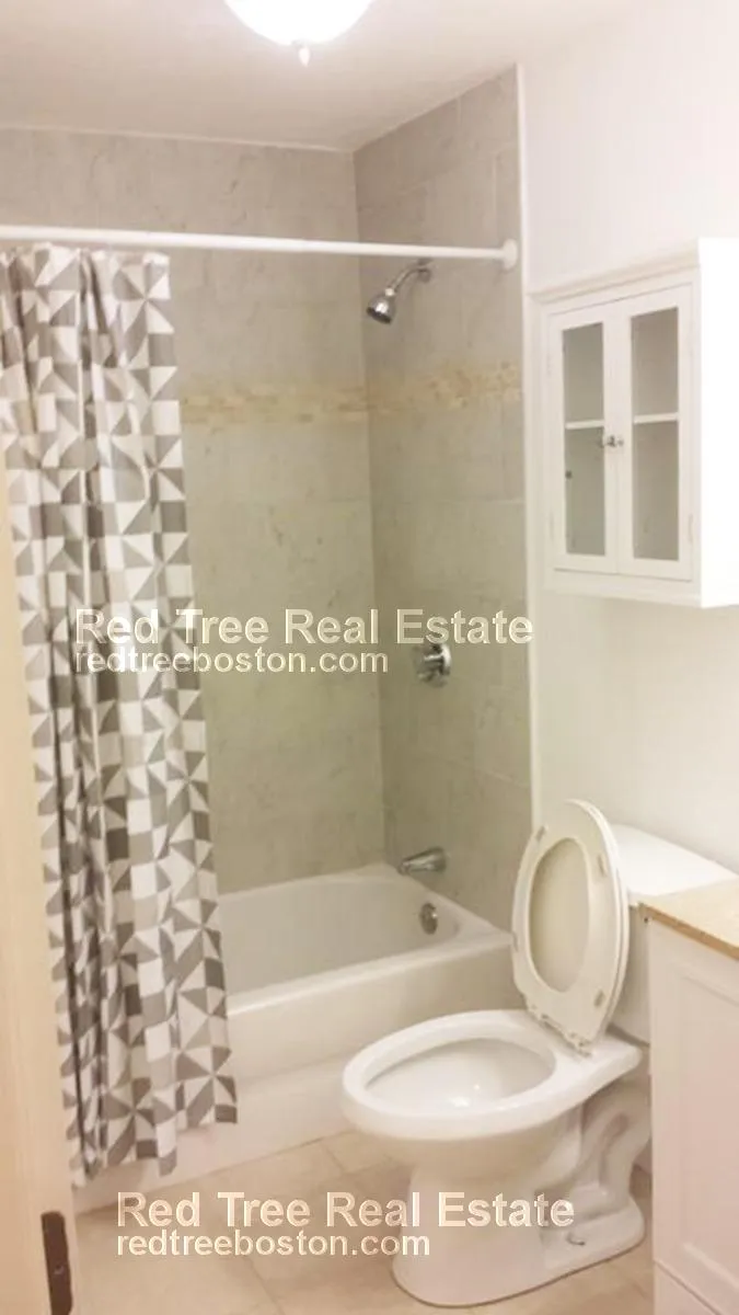 276 Chestnut Hill Ave, Brighton