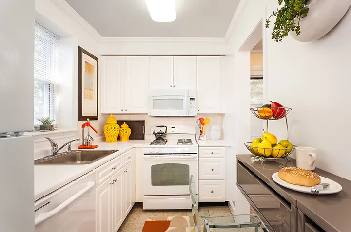 156 Independence Dr, Chestnut Hill