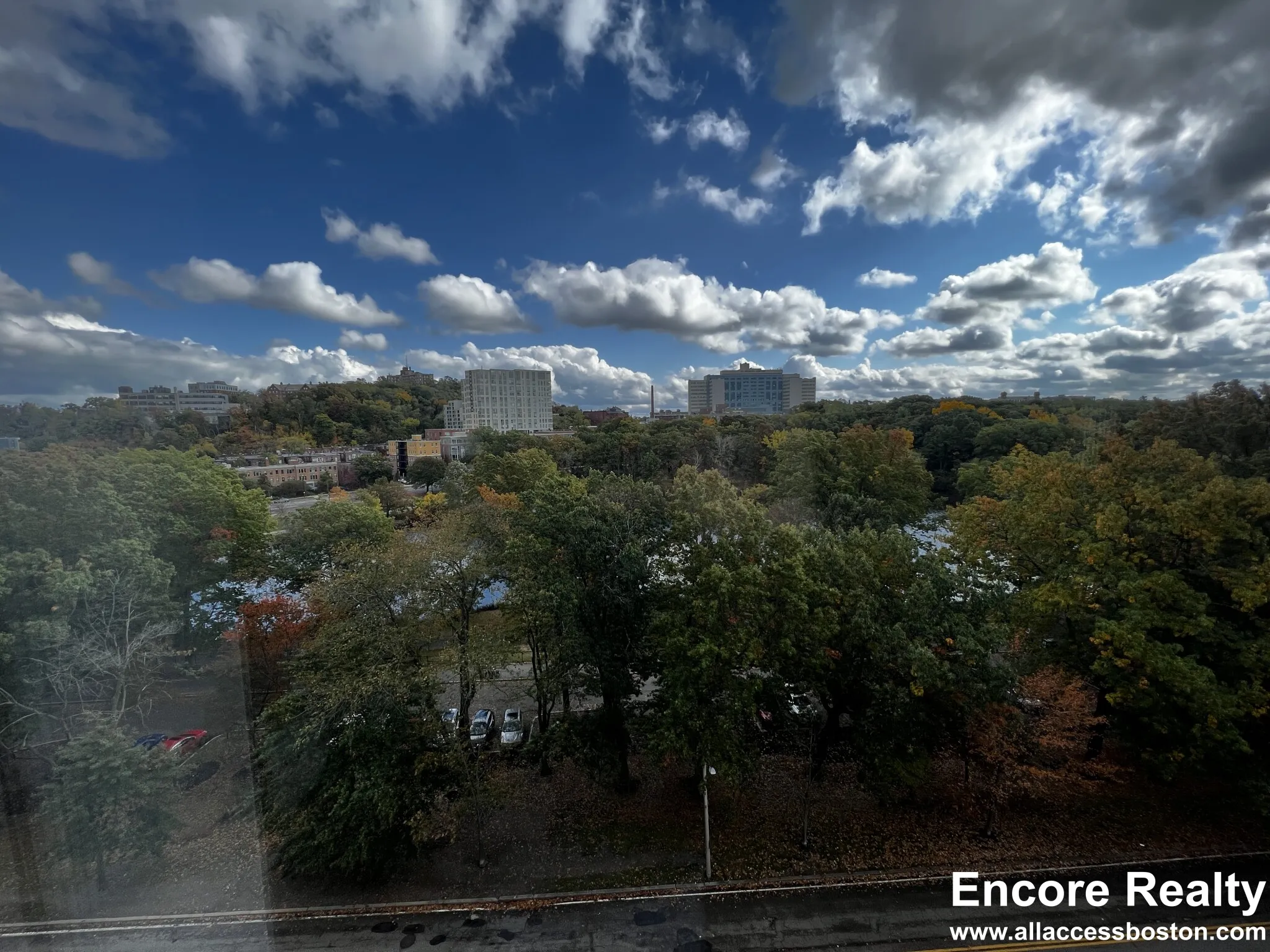 77 Pond Ave, Brookline Village