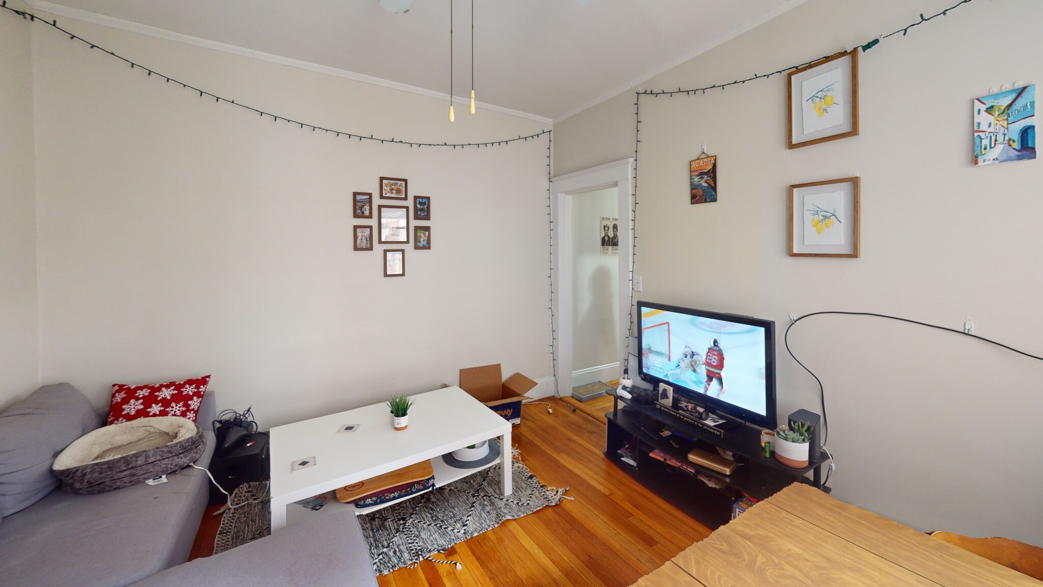 7 Scottfield Rd, Allston