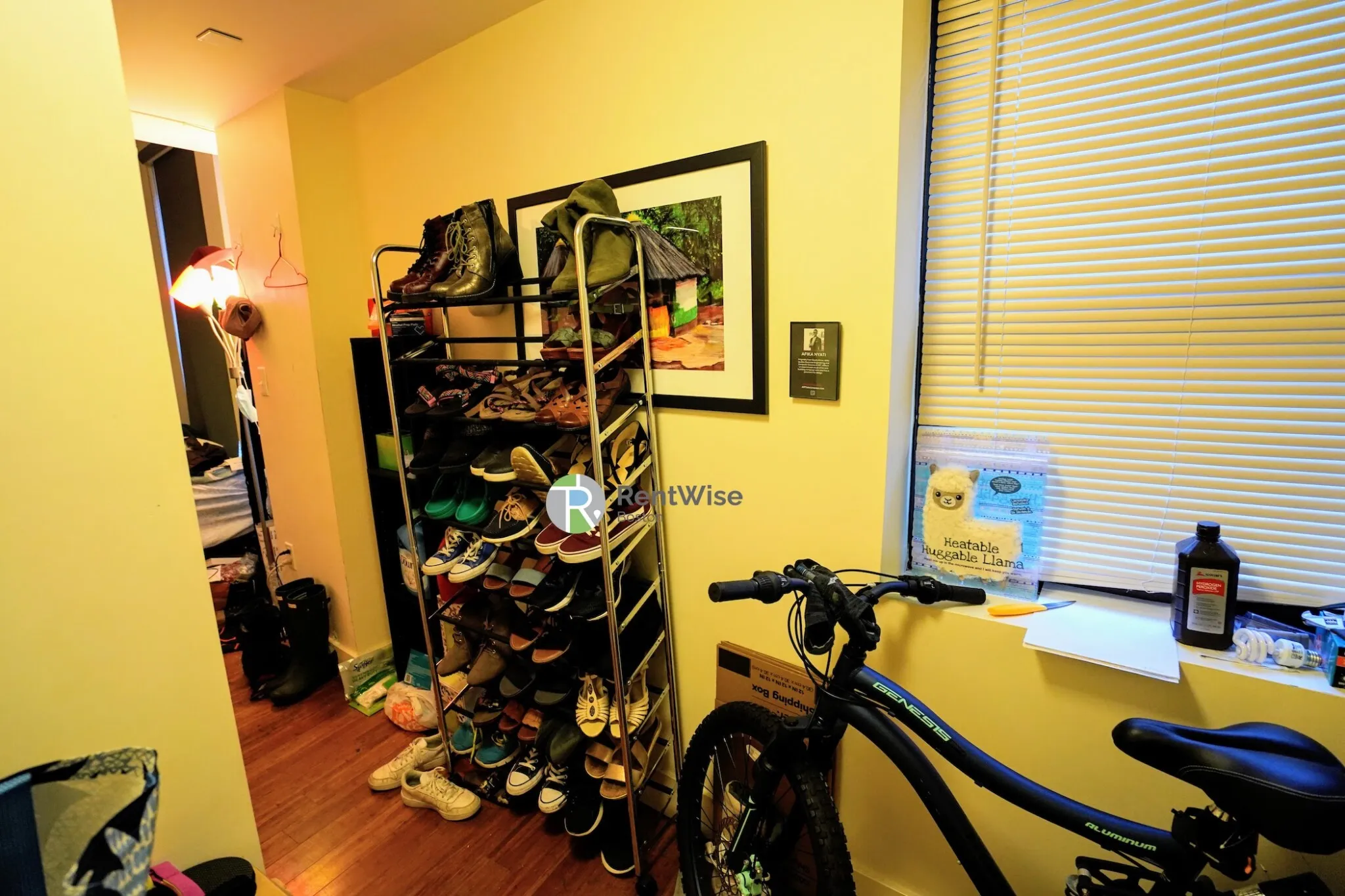 8 Winter St, Downtown