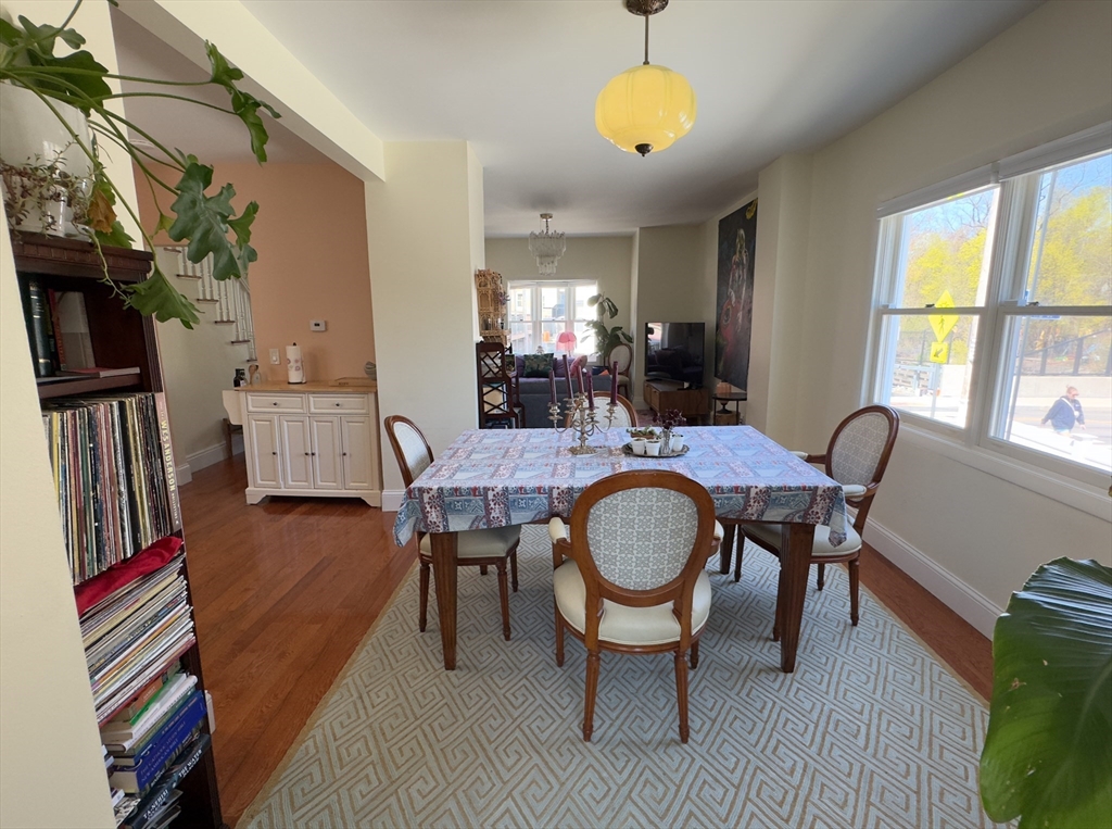 41 Sycamore St, Spring Hill