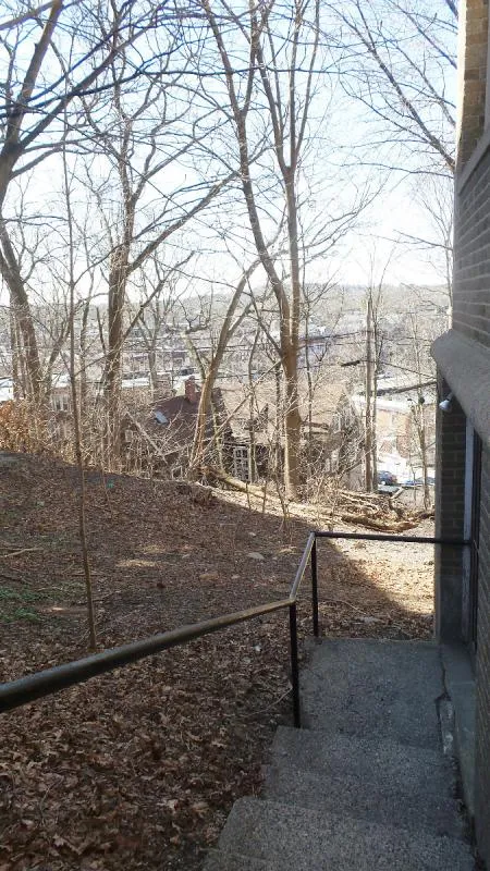 67 Nottinghill Rd, Brighton