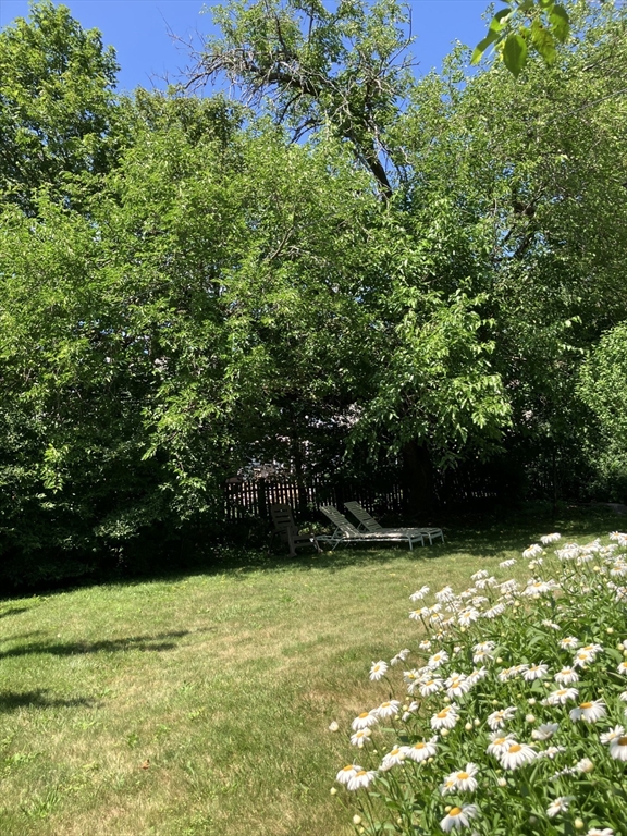 28 Coolidge Rd, Belmont