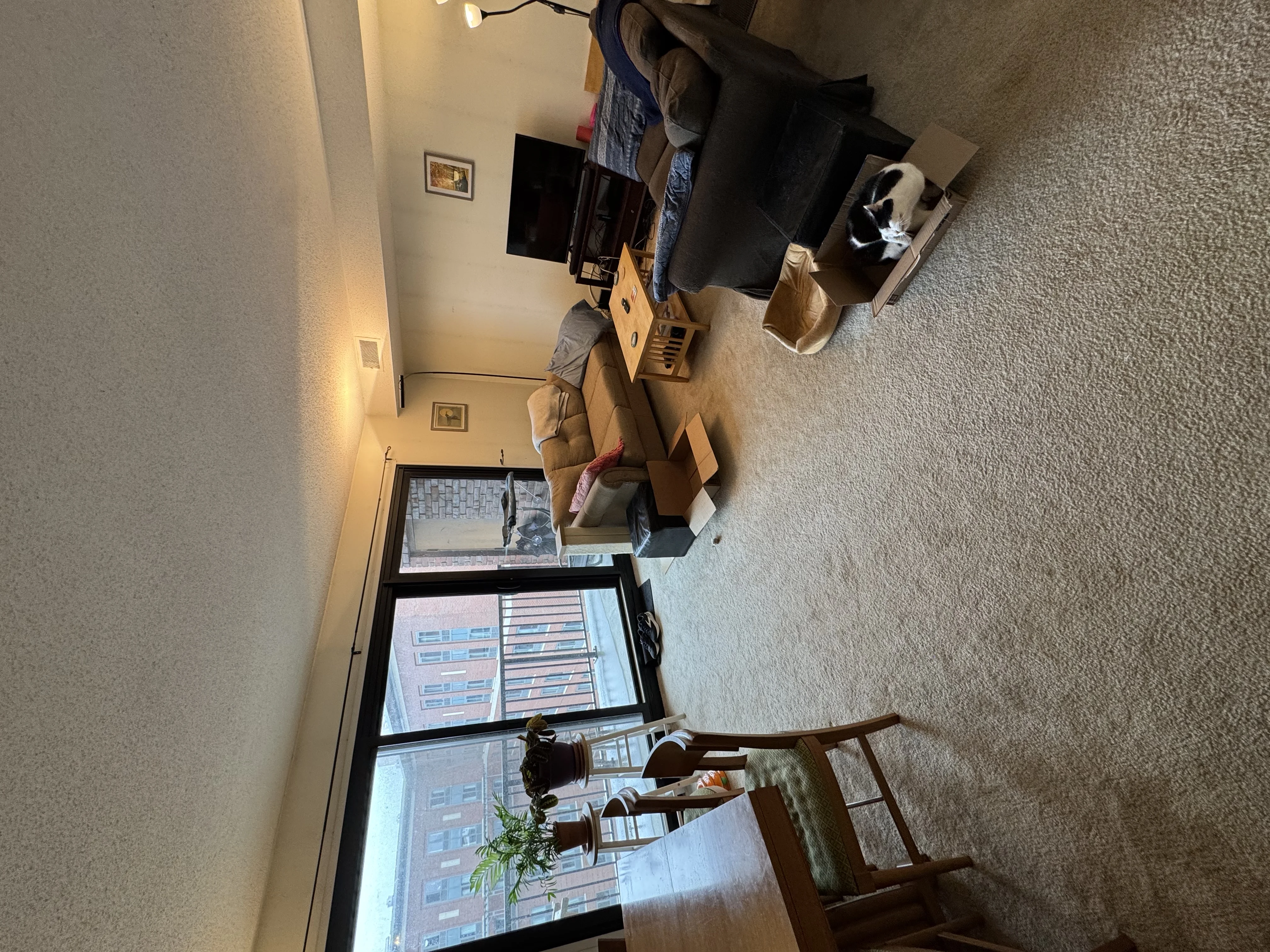 49 Marion St, Coolidge Corner