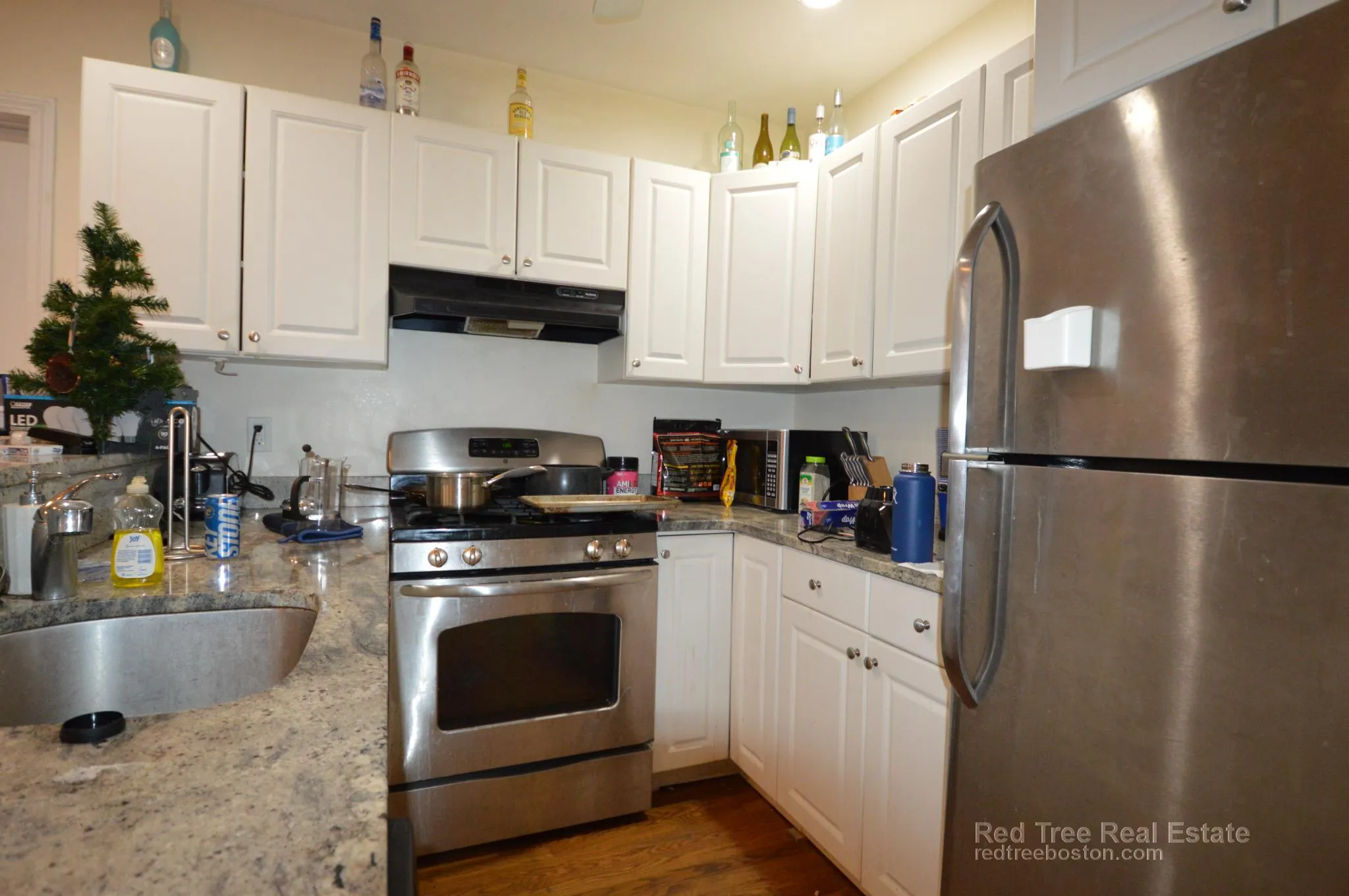 66 Egmont St, North Brookline