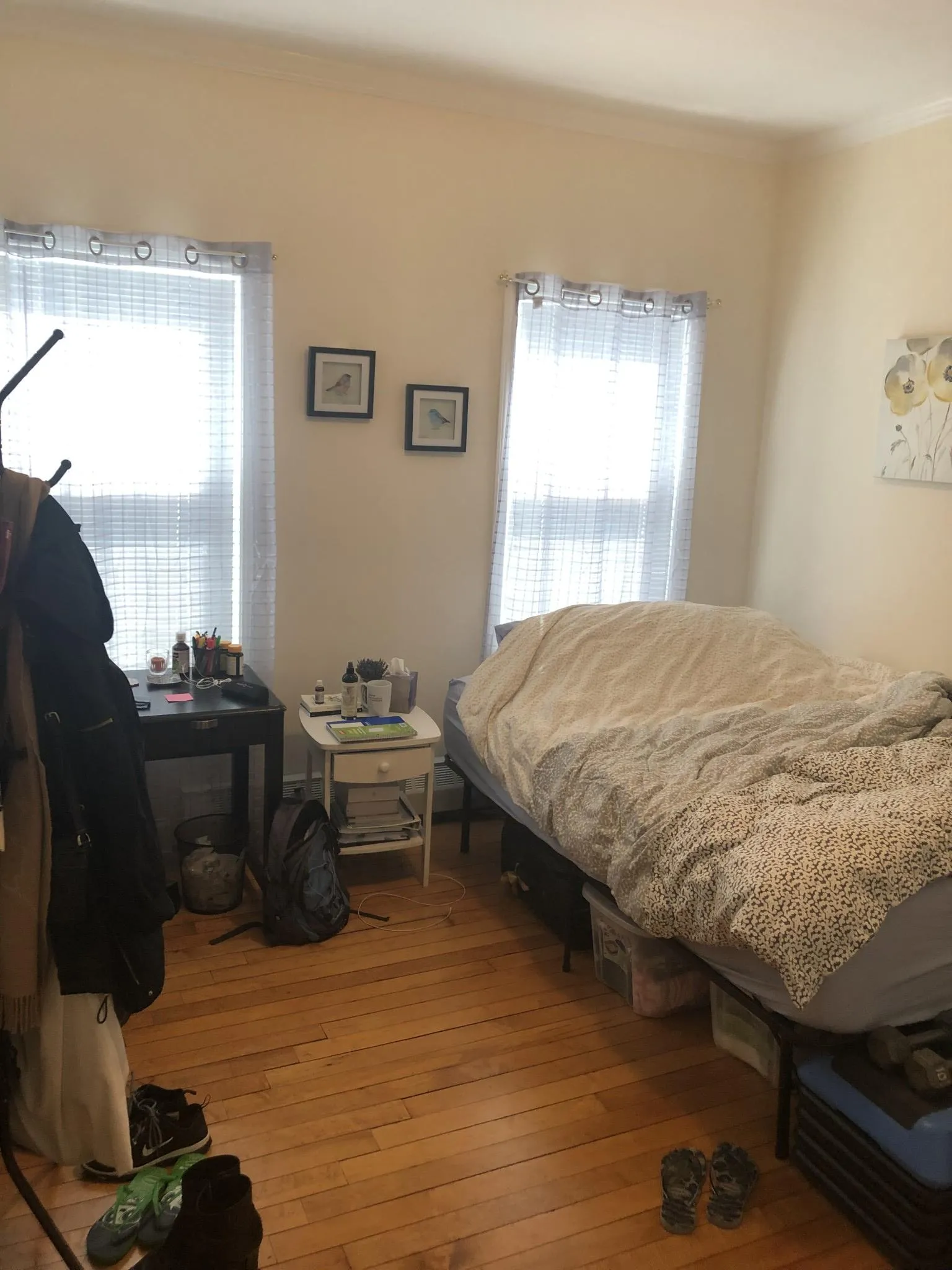 65 Langdon St, Neighborhood Nine