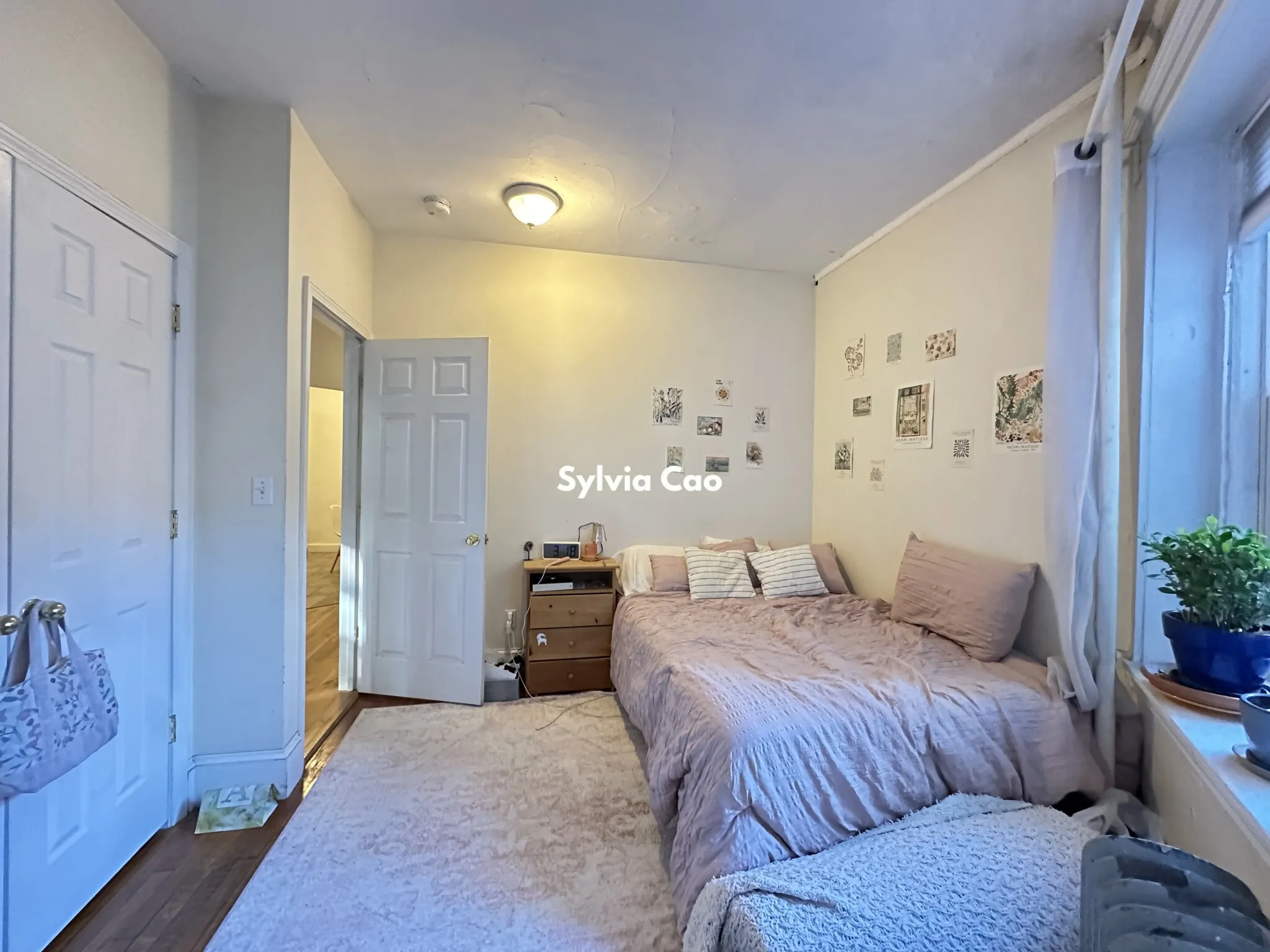 56 Egmont St, North Brookline