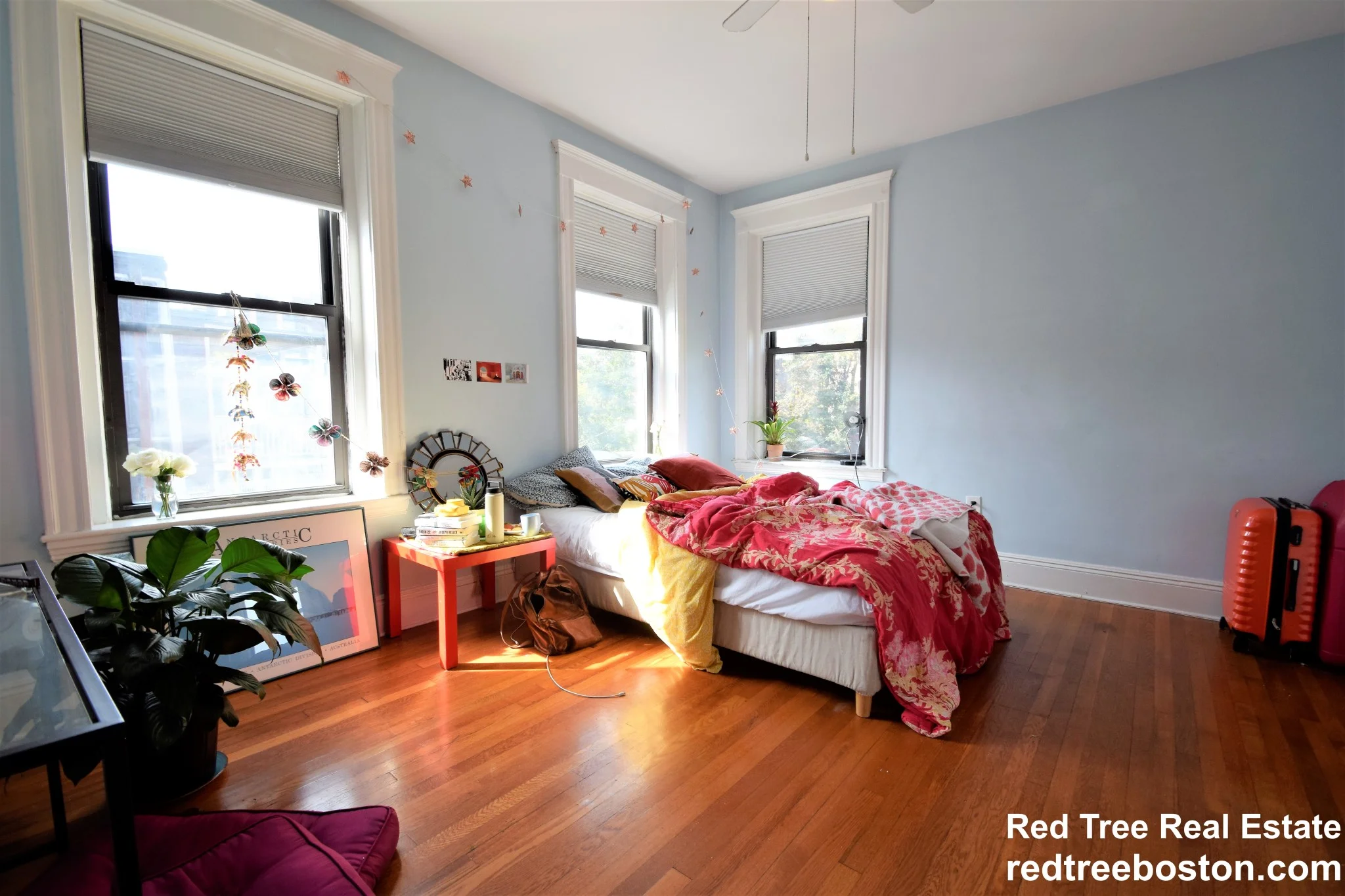 184 Saint Paul St, Brookline