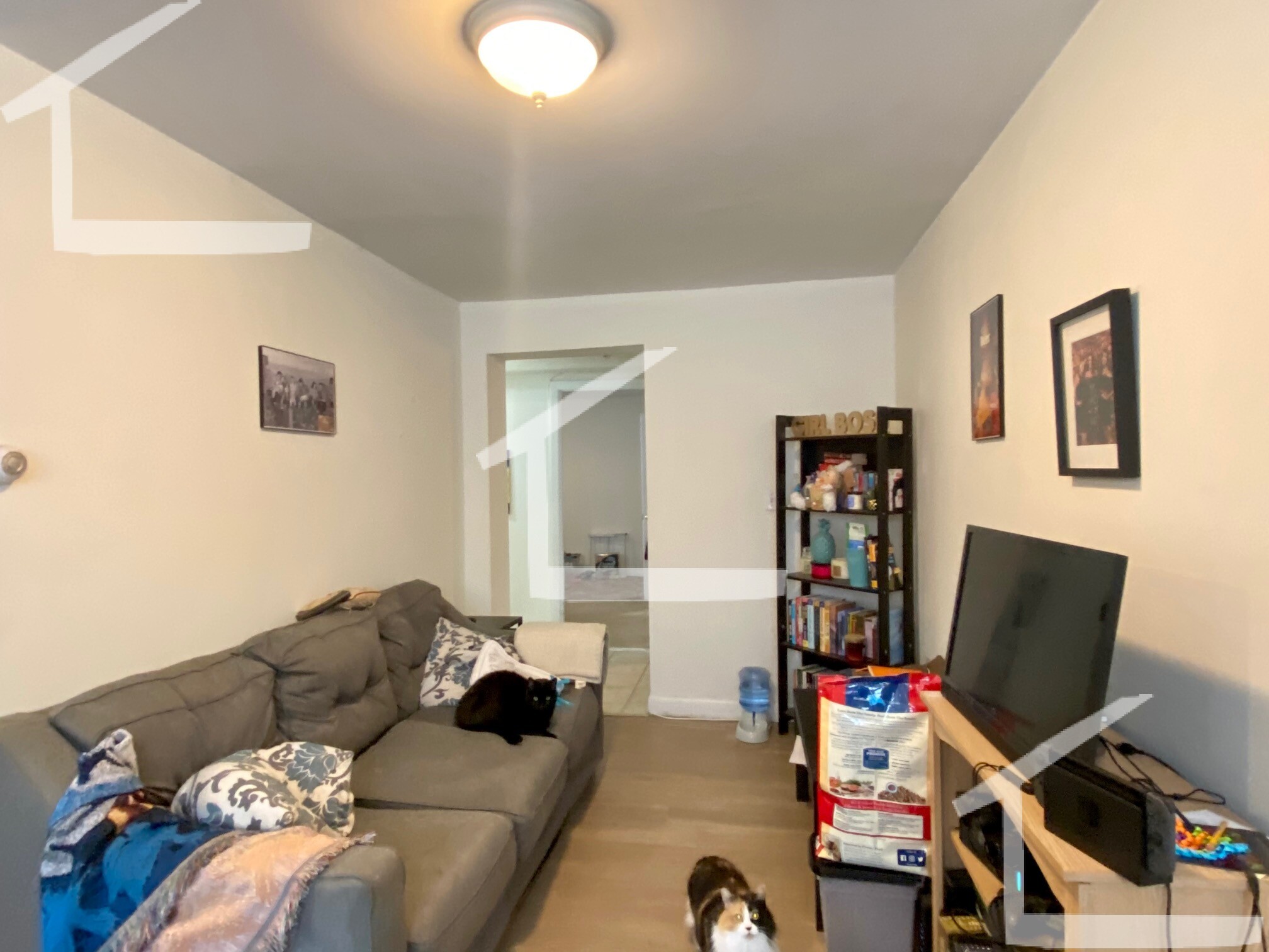 8 Griggs St, Brighton