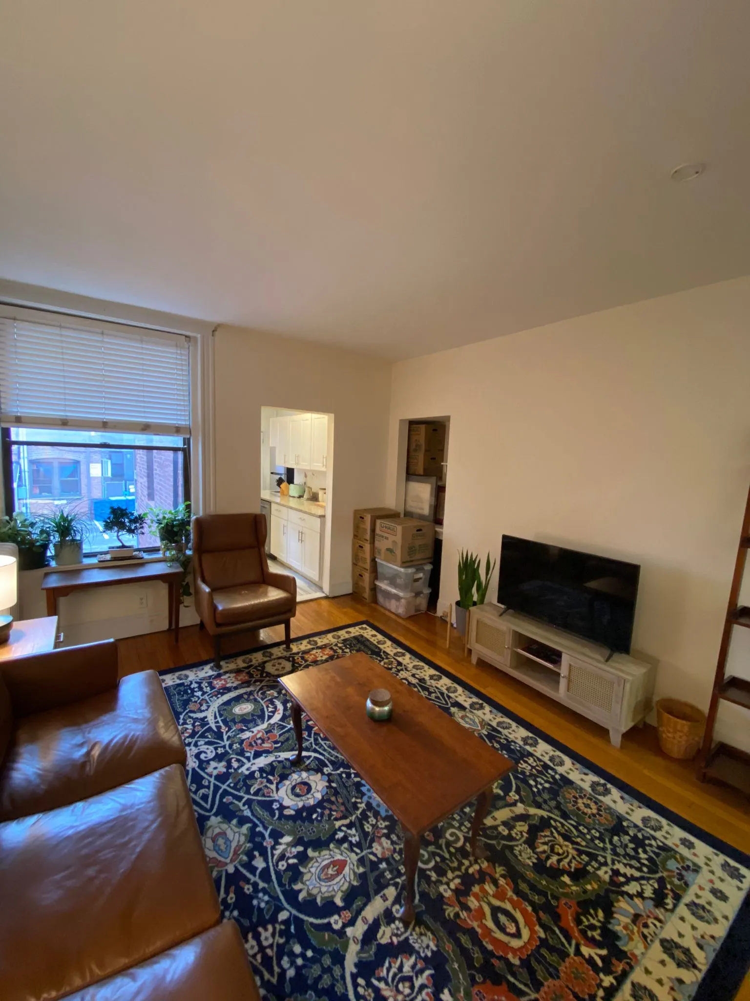 46 Orkney Rd, Brighton