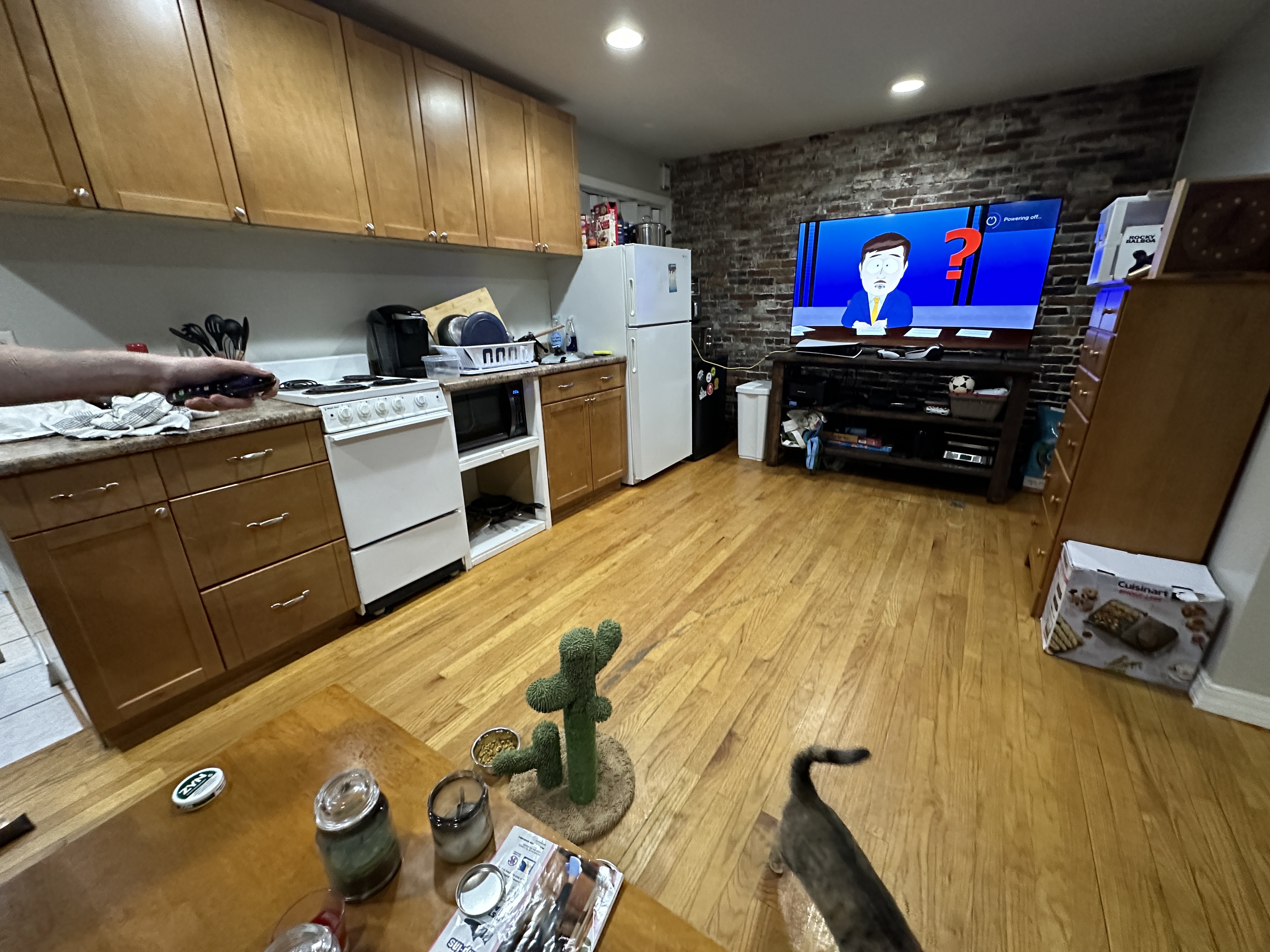 41 Anderson St, Beacon Hill