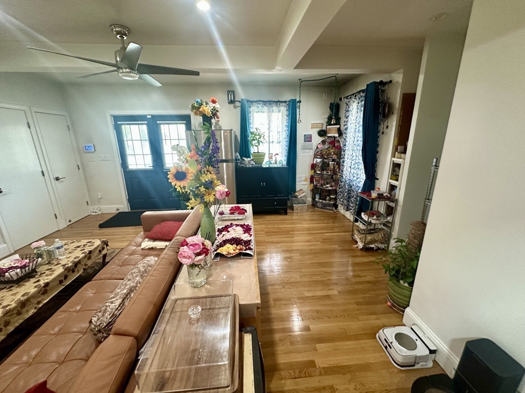 62 Antwerp, Brighton