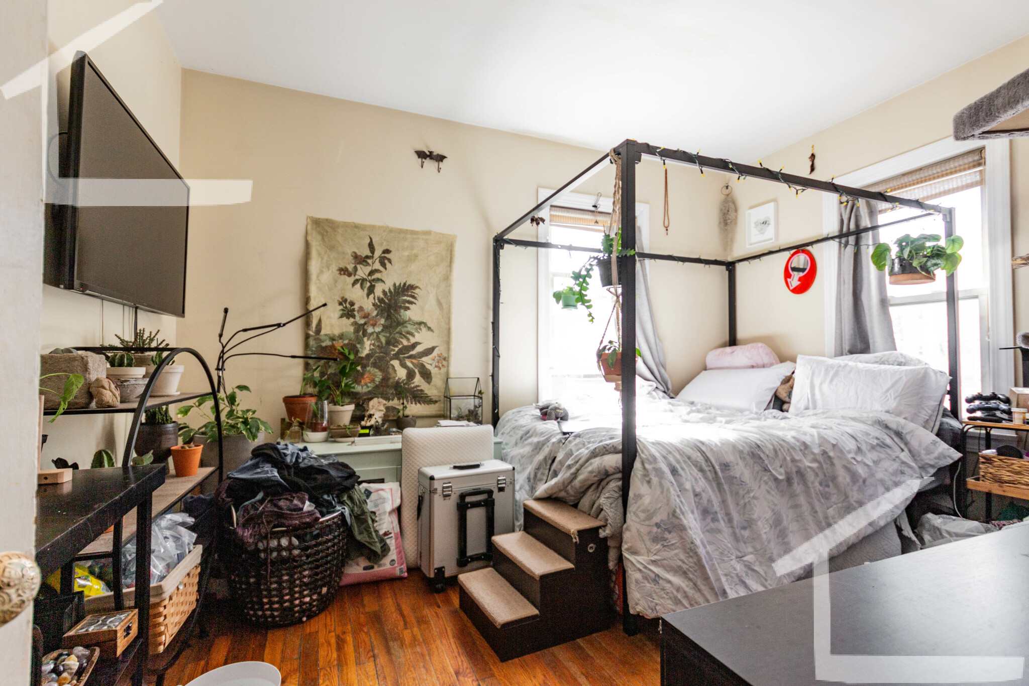 104 Dustin St, Brighton