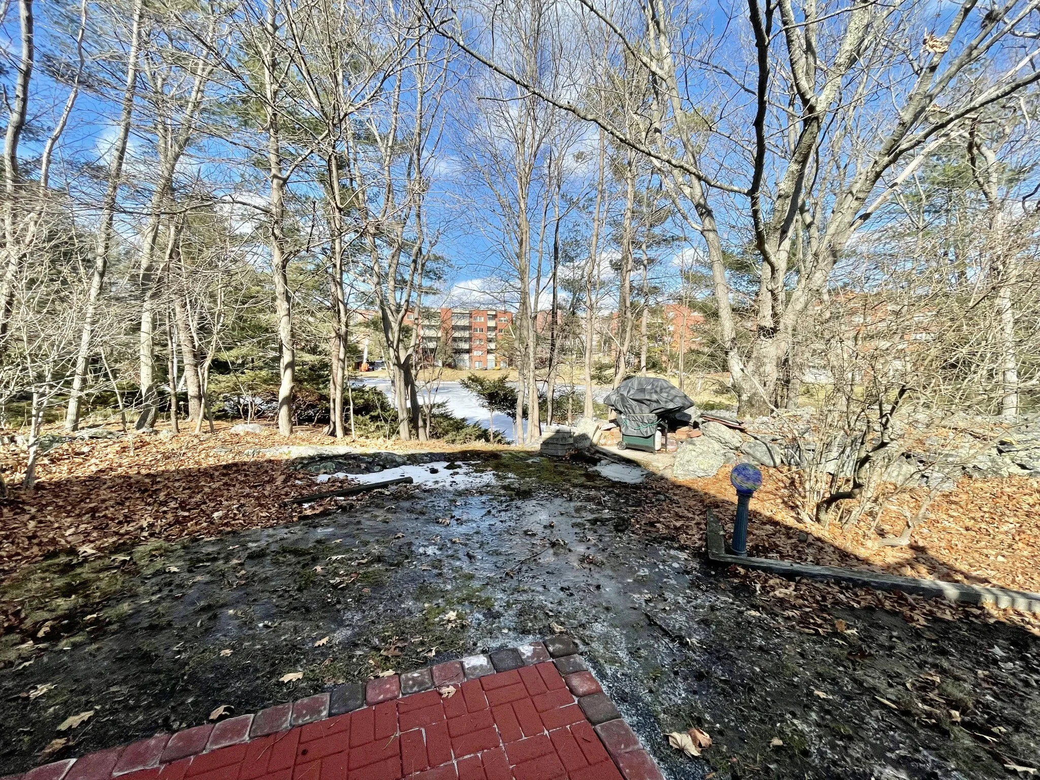 77 Louise, Chestnut Hill
