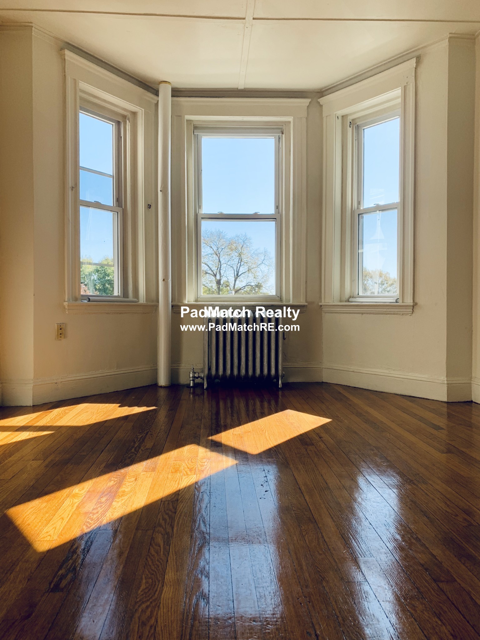 1175 Boylston St, Fenway