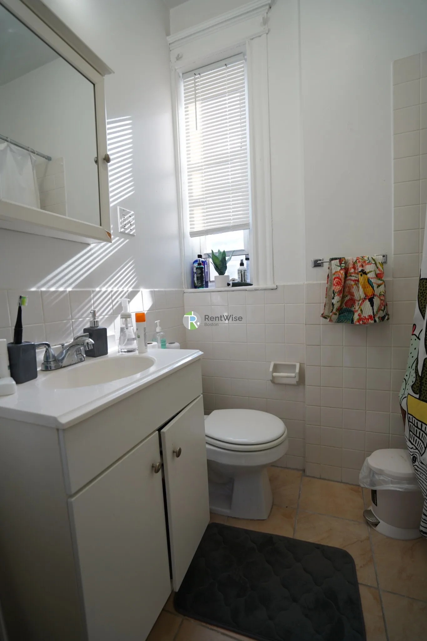 14 Orkney Rd, Brighton