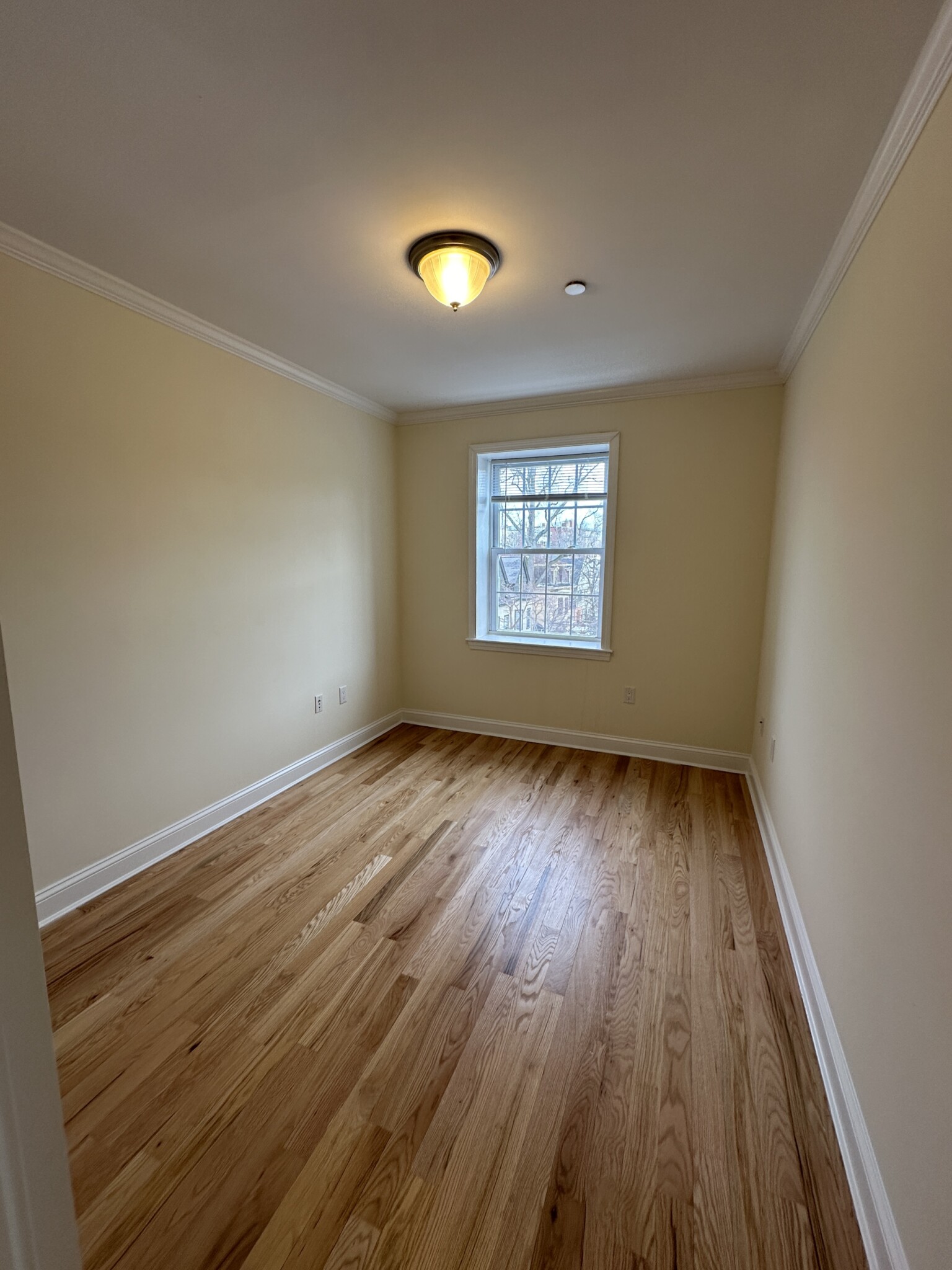 55 Langdon St, Neighborhood Nine