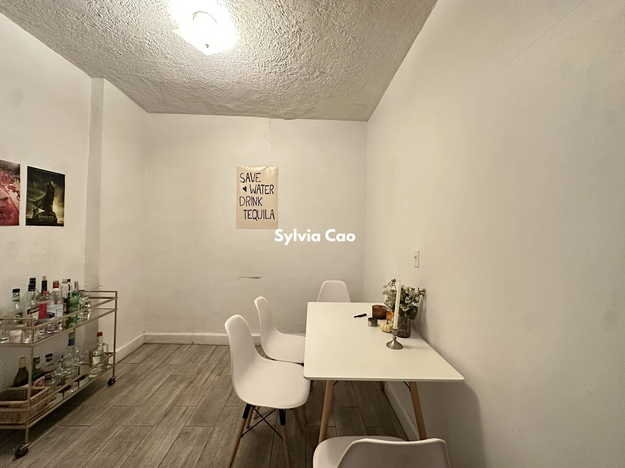 56 Egmont St, North Brookline